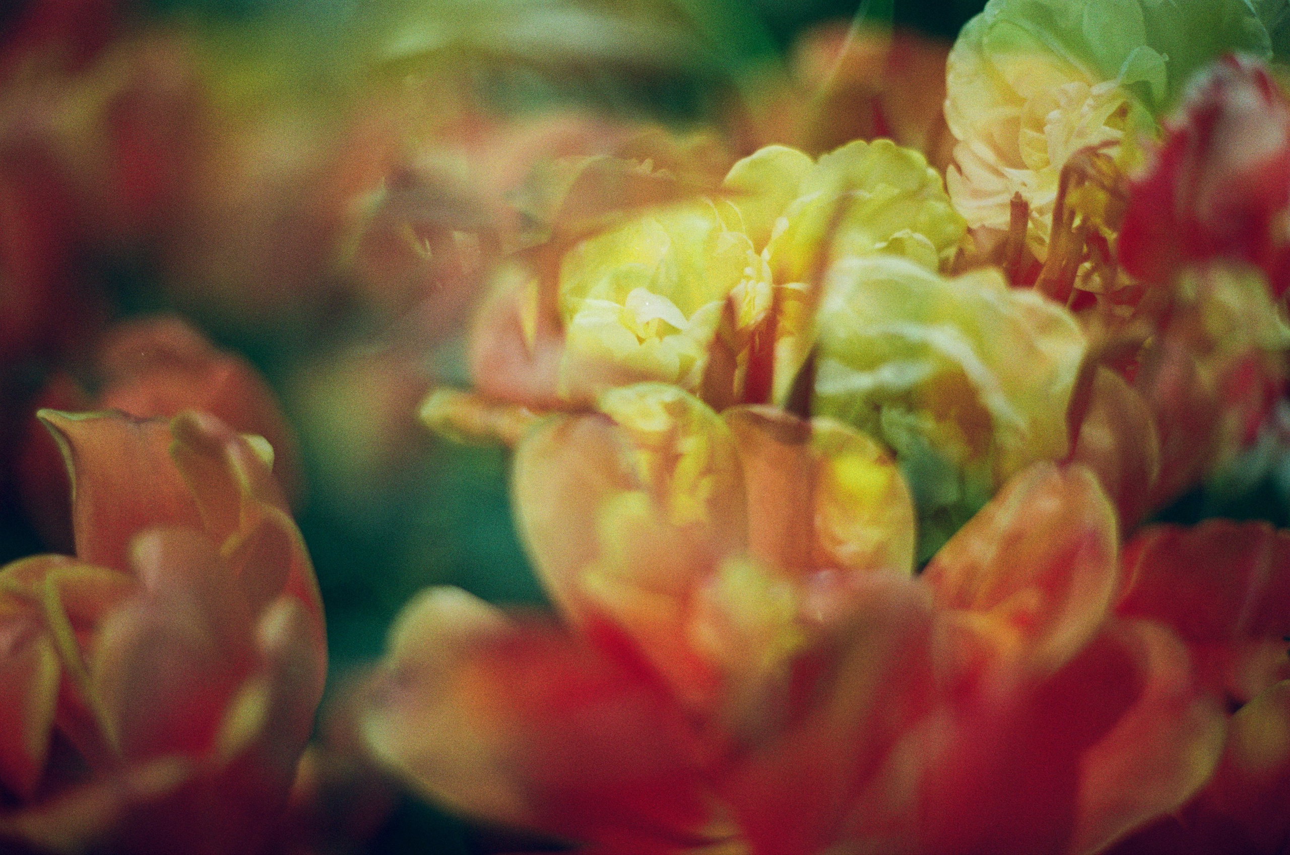 If i get high V. EVER EXPOSED