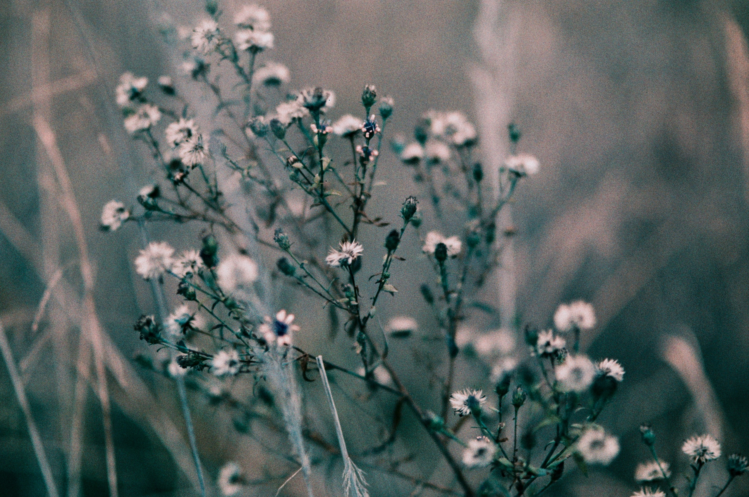 Post blue. EVER EXPOSED