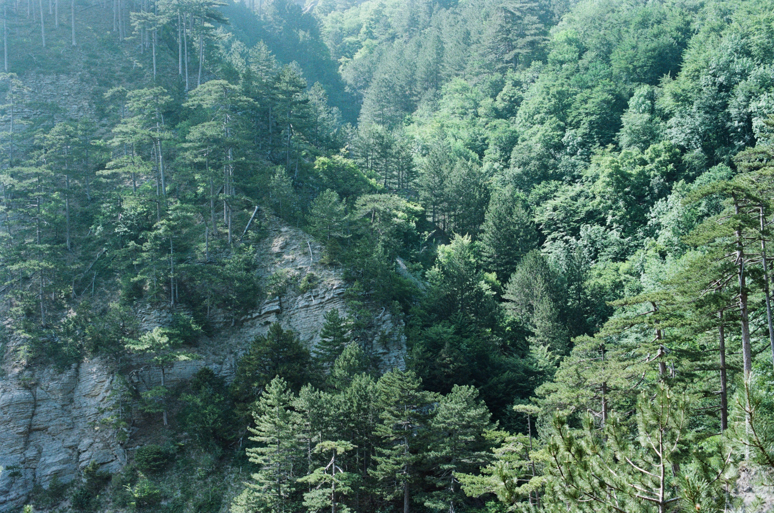 Kool-aid // ukraine, crimea II. EVER EXPOSED