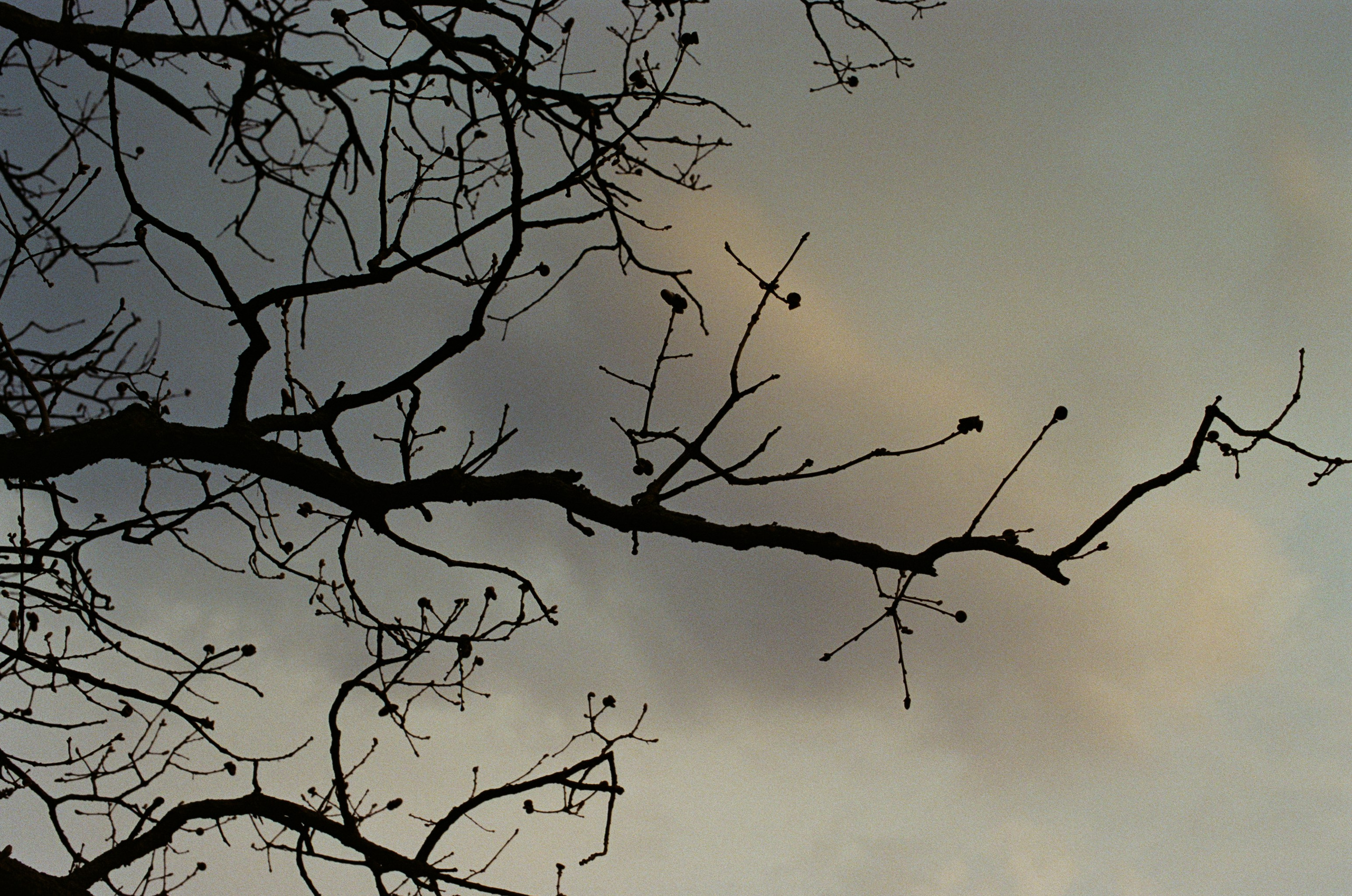 Sakura blues // ukraine, crimea III. EVER EXPOSED