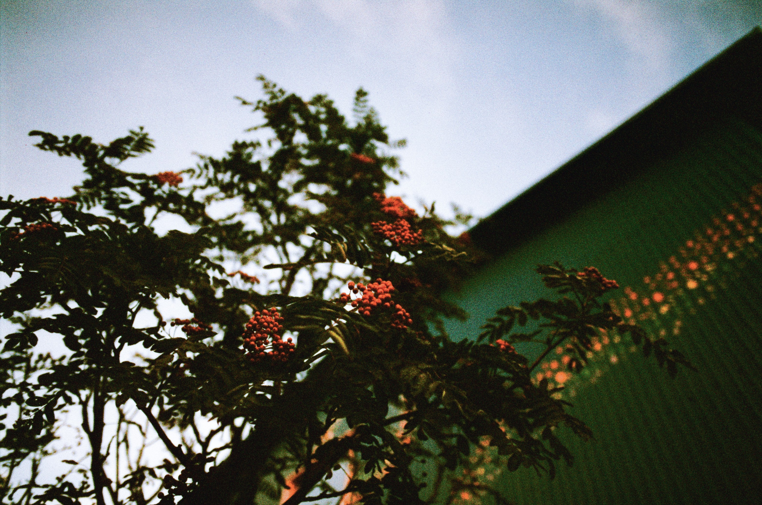 Run no more // iceland, reykjavik. EVER EXPOSED