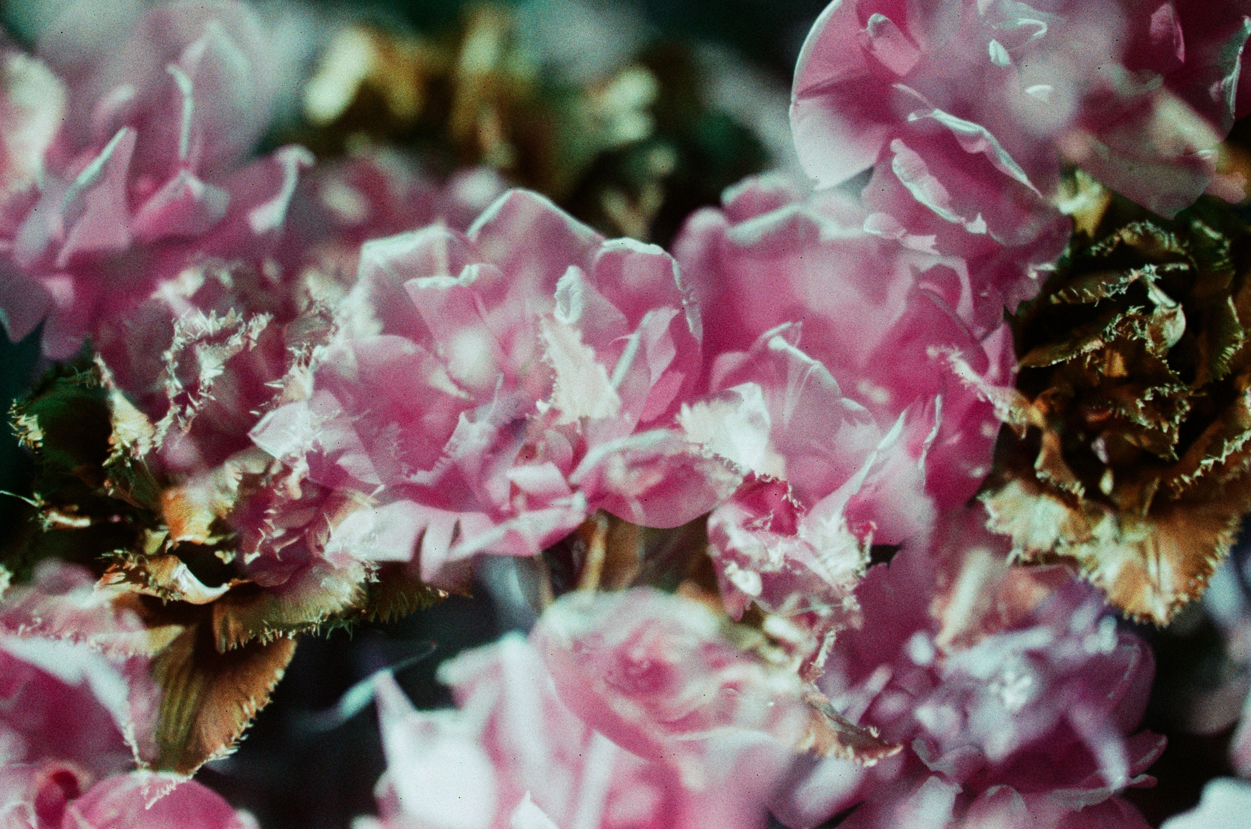 Press enter to exit // ukraine, crimea VIII. EVER EXPOSED