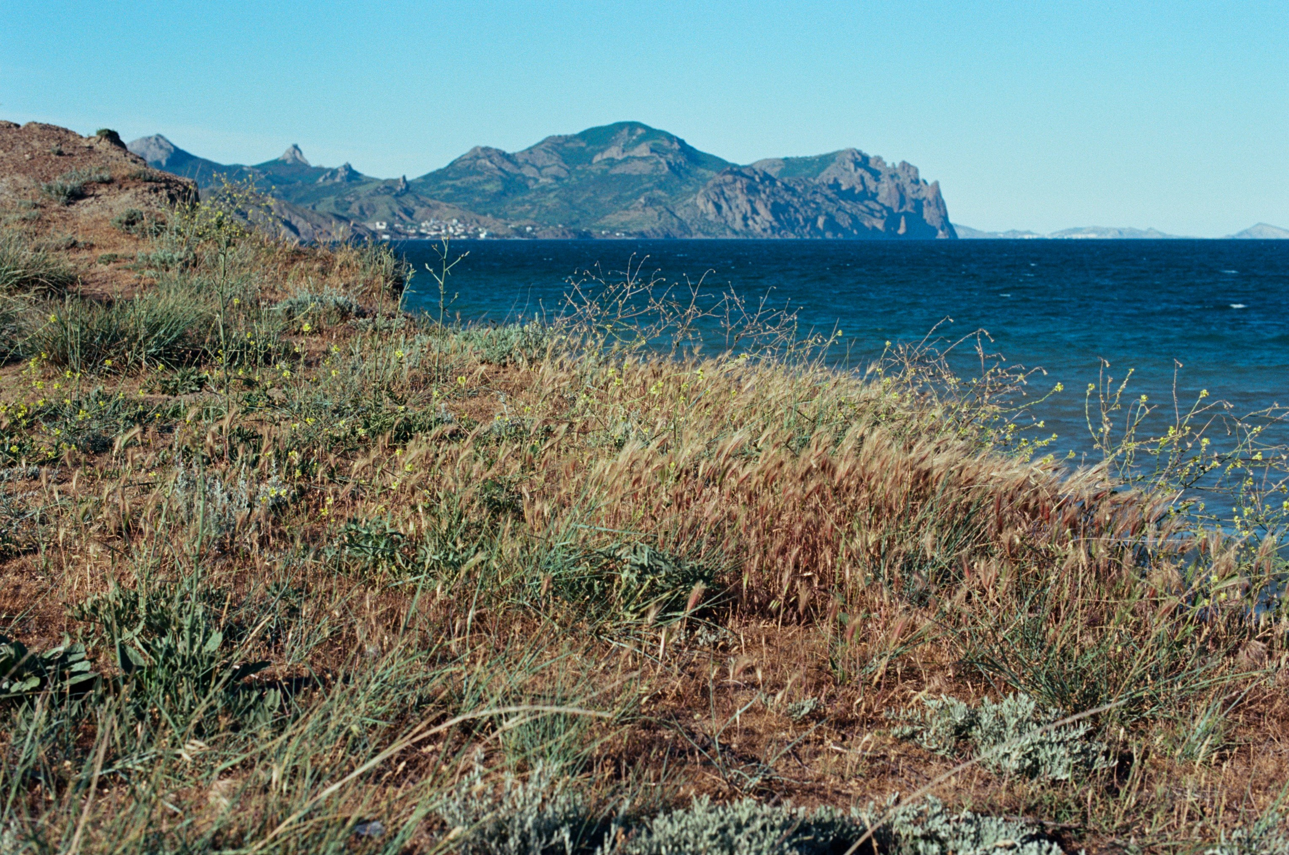Kool-aid // ukraine, crimea VI. EVER EXPOSED