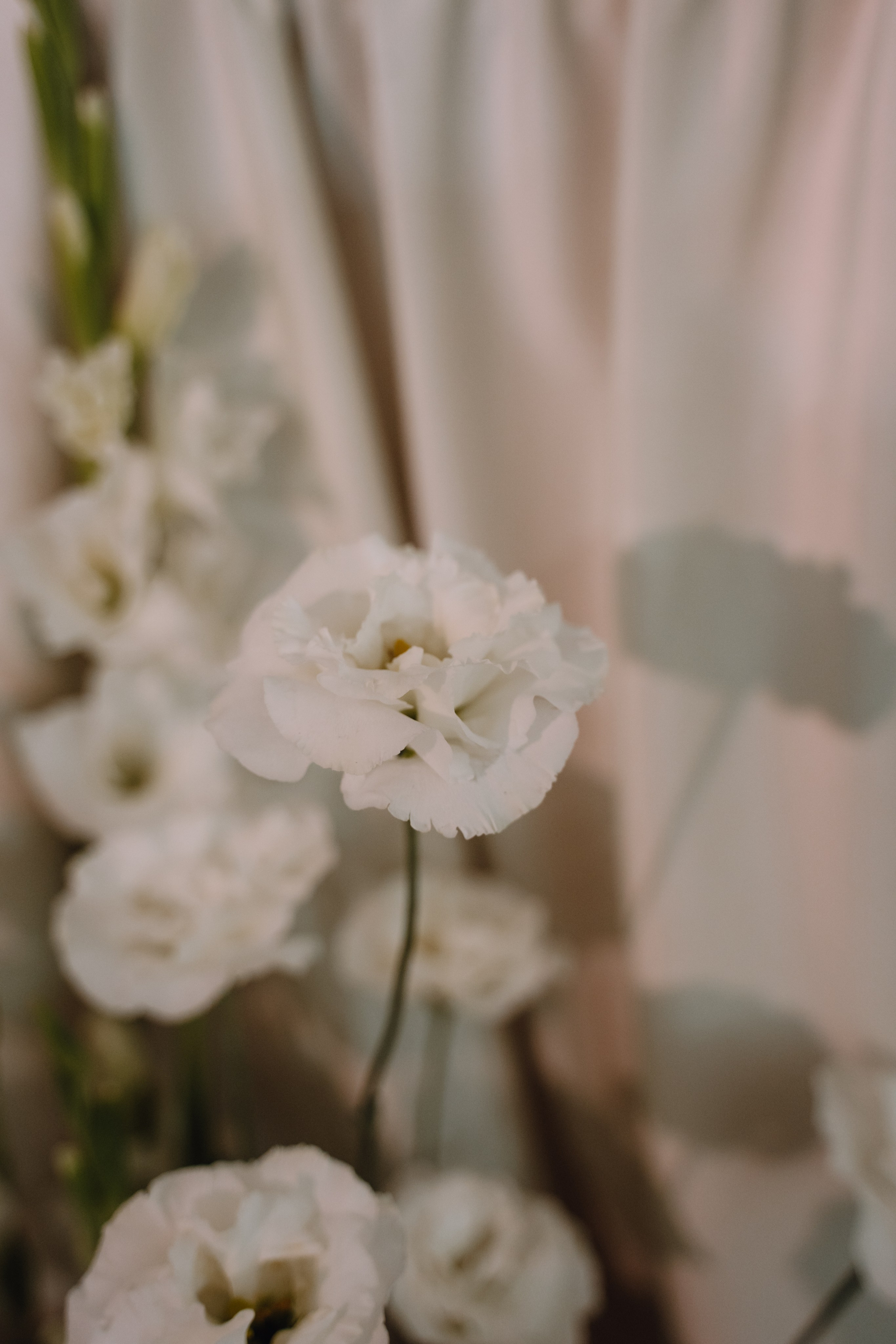 Паша и Света. Свадебный фотограф Анжелика Сариева