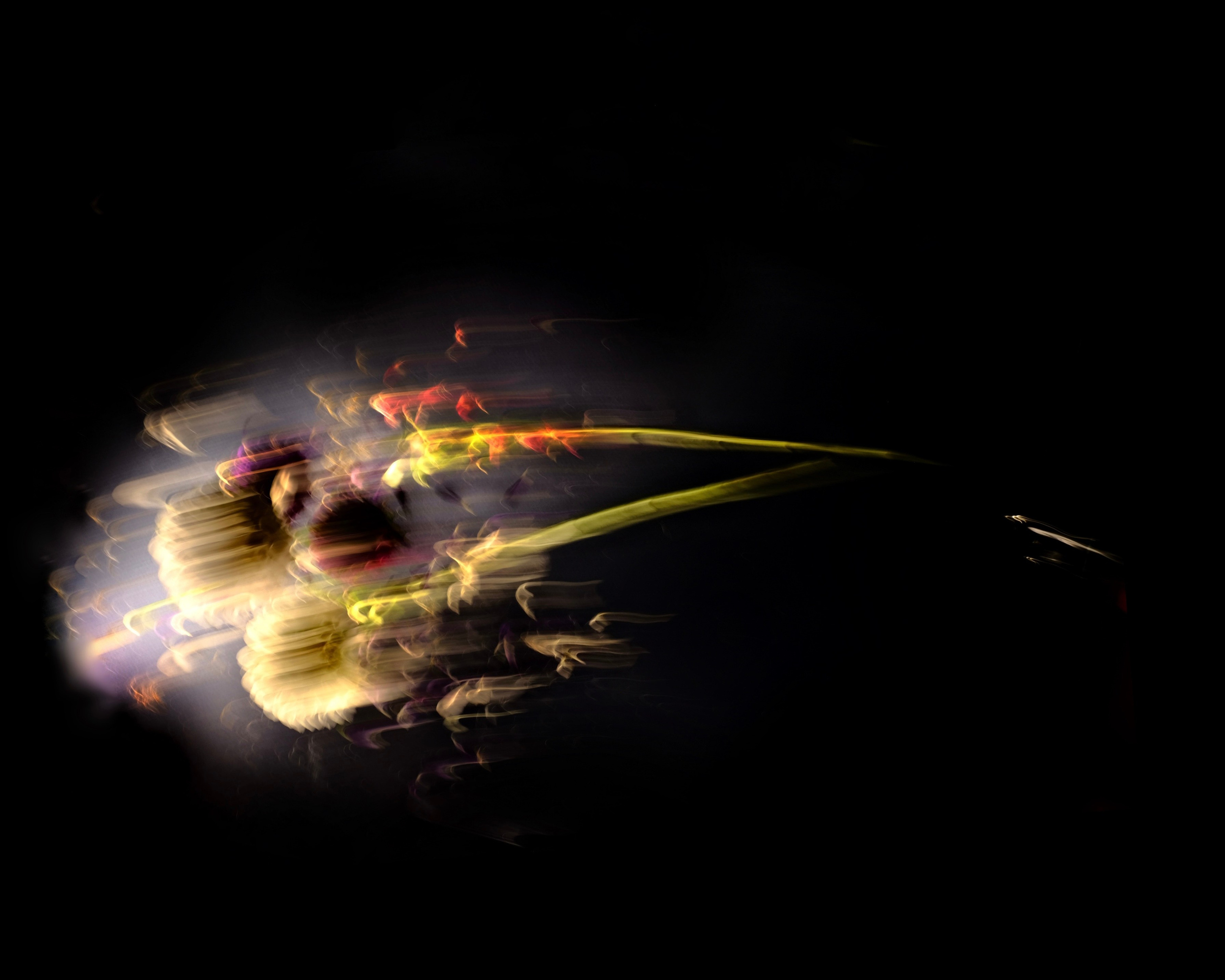 Цветочные принты. Фотограф Анна Чанаях