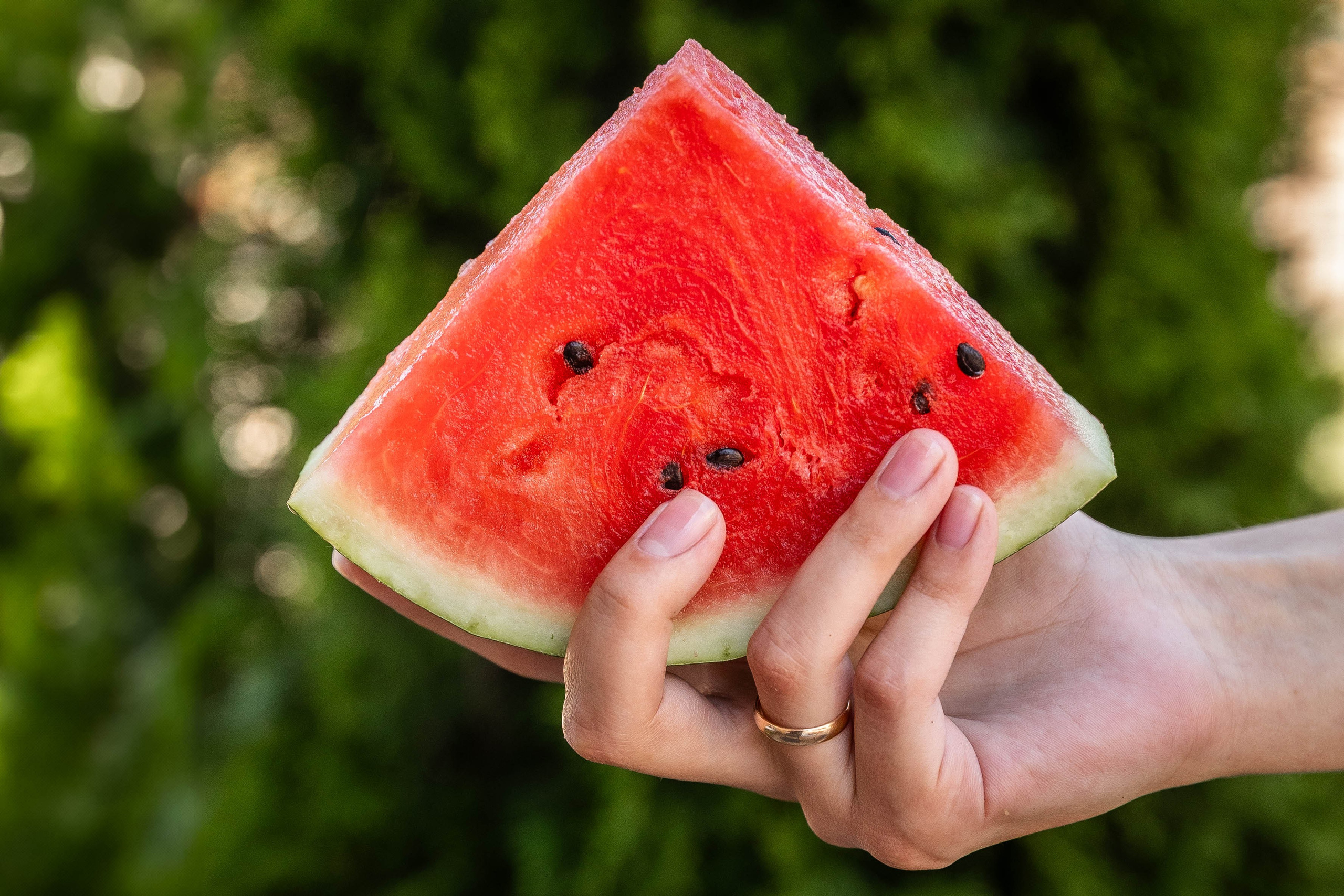 ОЛЬГИНИЯ. Фотограф-АниМалист Анна Абрамова
