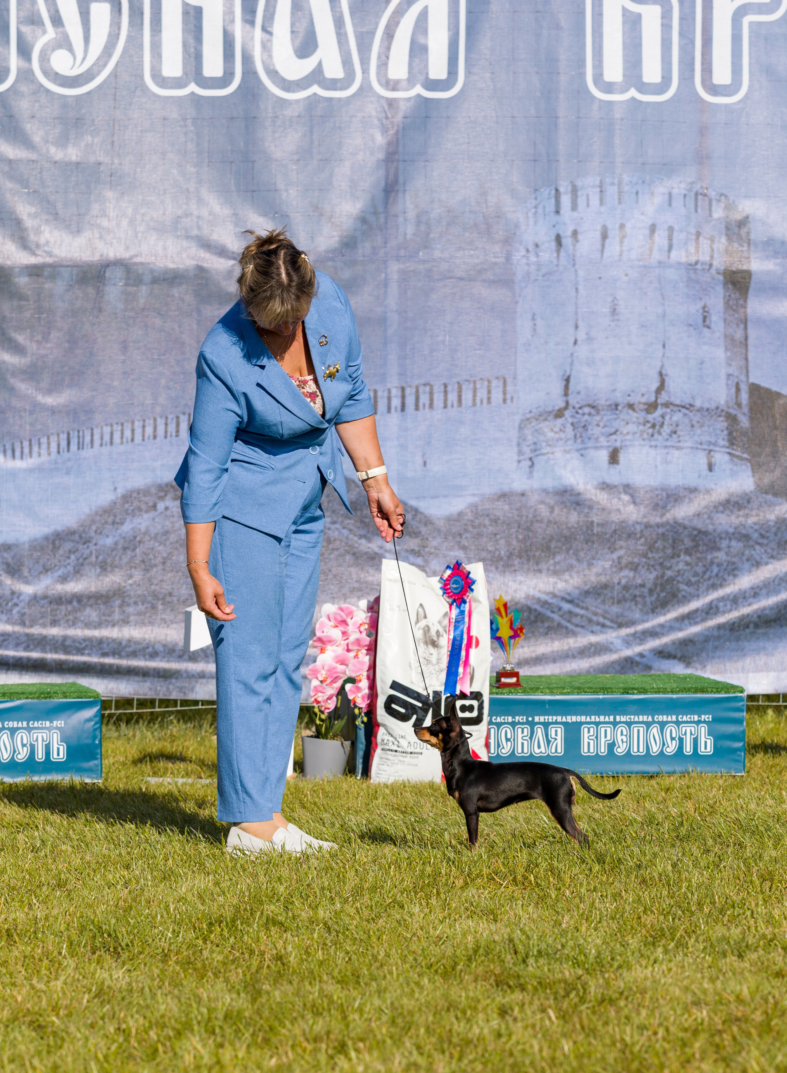 Выставки. Фотограф — анималист Татьяна Ли