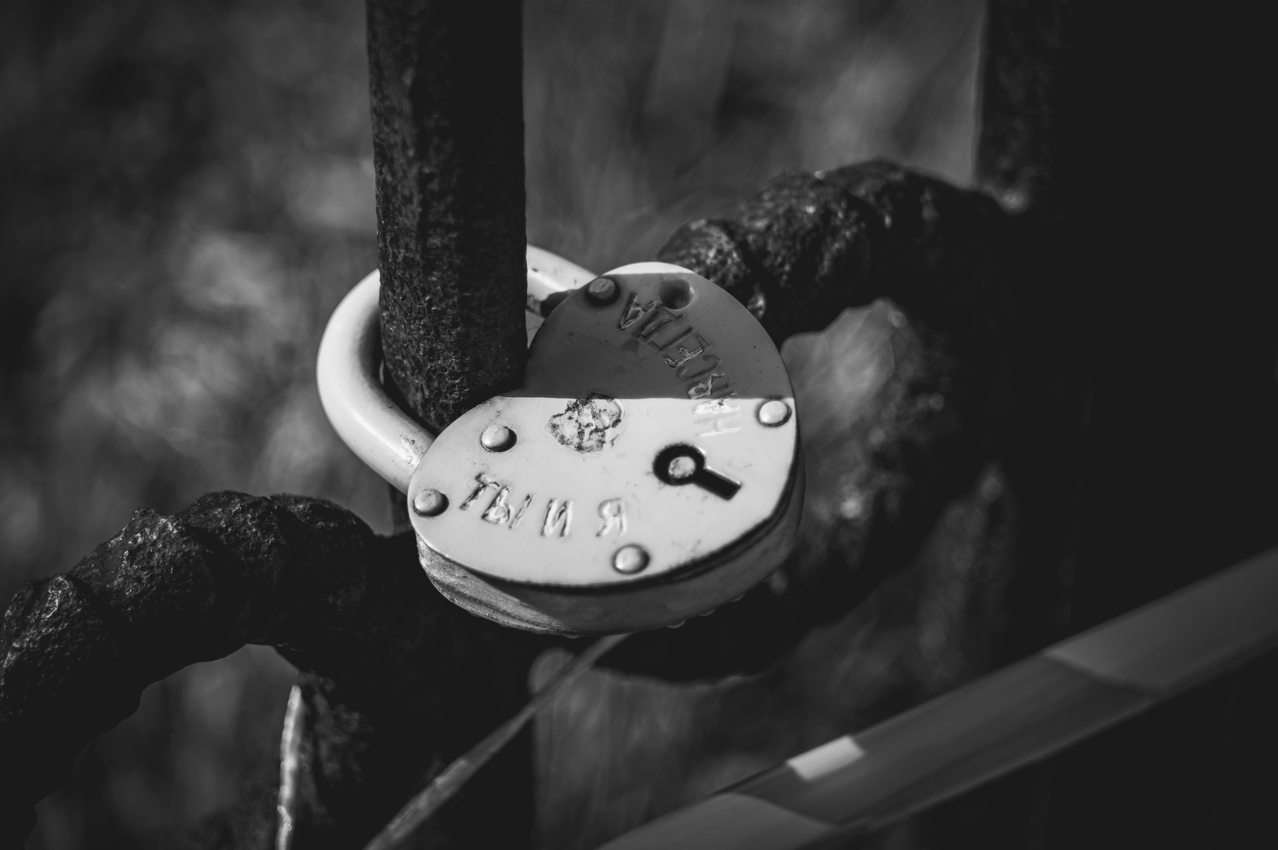 Рязань. Май 2022. Фотограф Роман Адлер