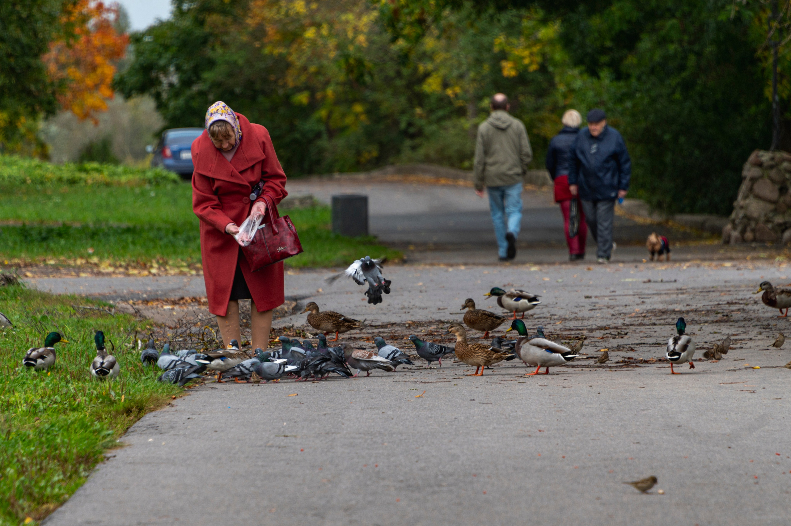 Псков. Октябрь 2023. Фотограф Роман Адлер