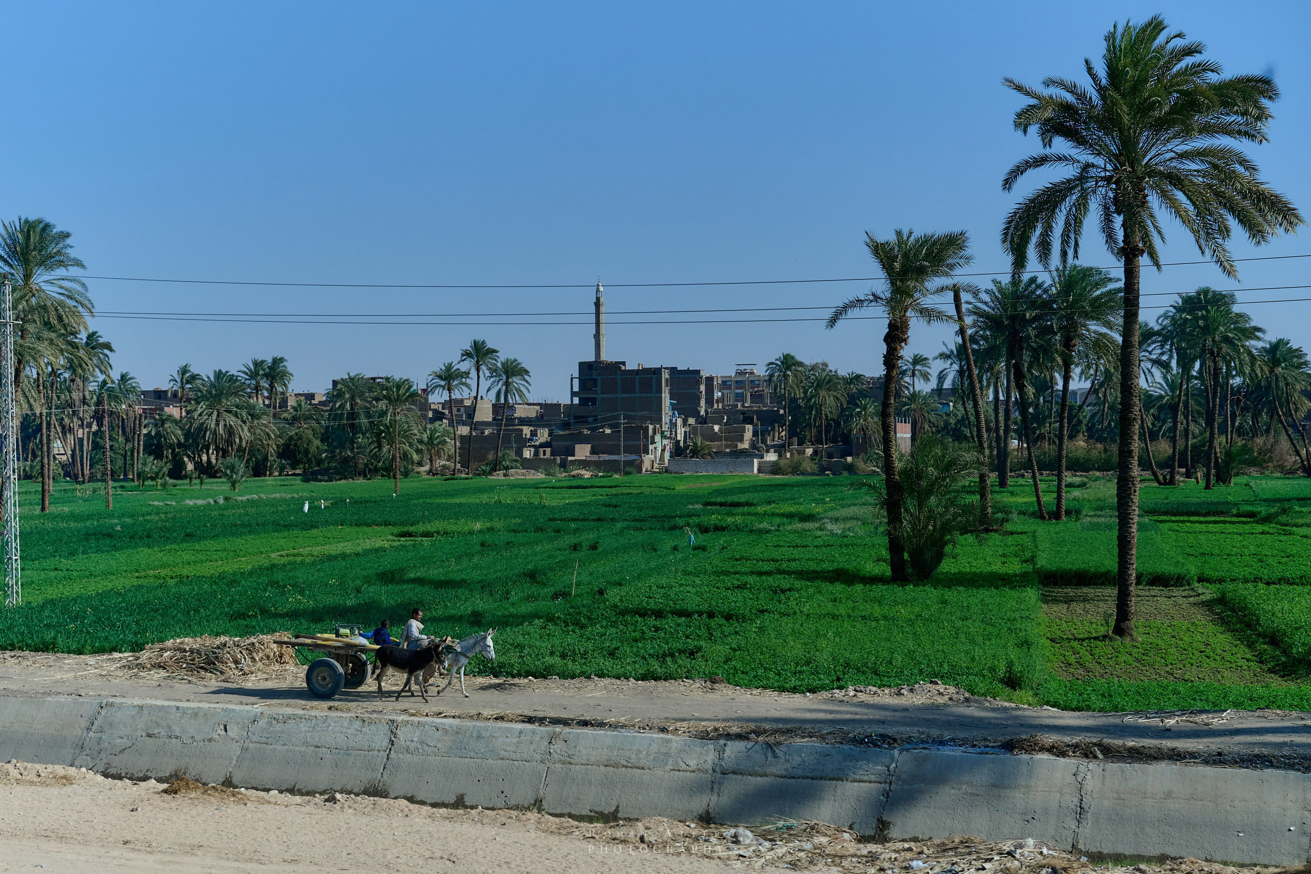 Луксор. Февраль 2025. Фотограф Роман Адлер