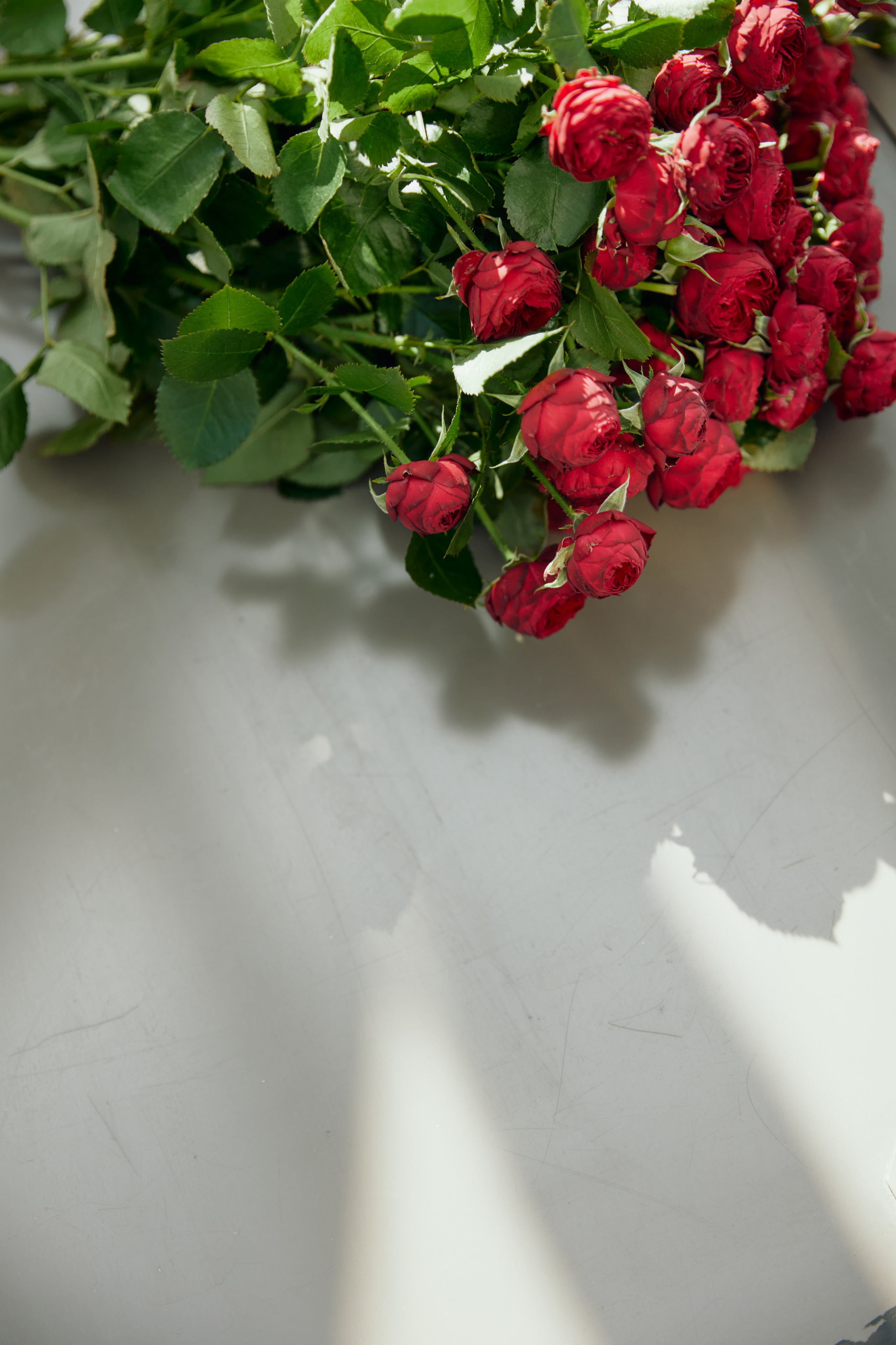 LINES. Дмитрий Мазуркевич: Профессиональный Репортажный Фотограф