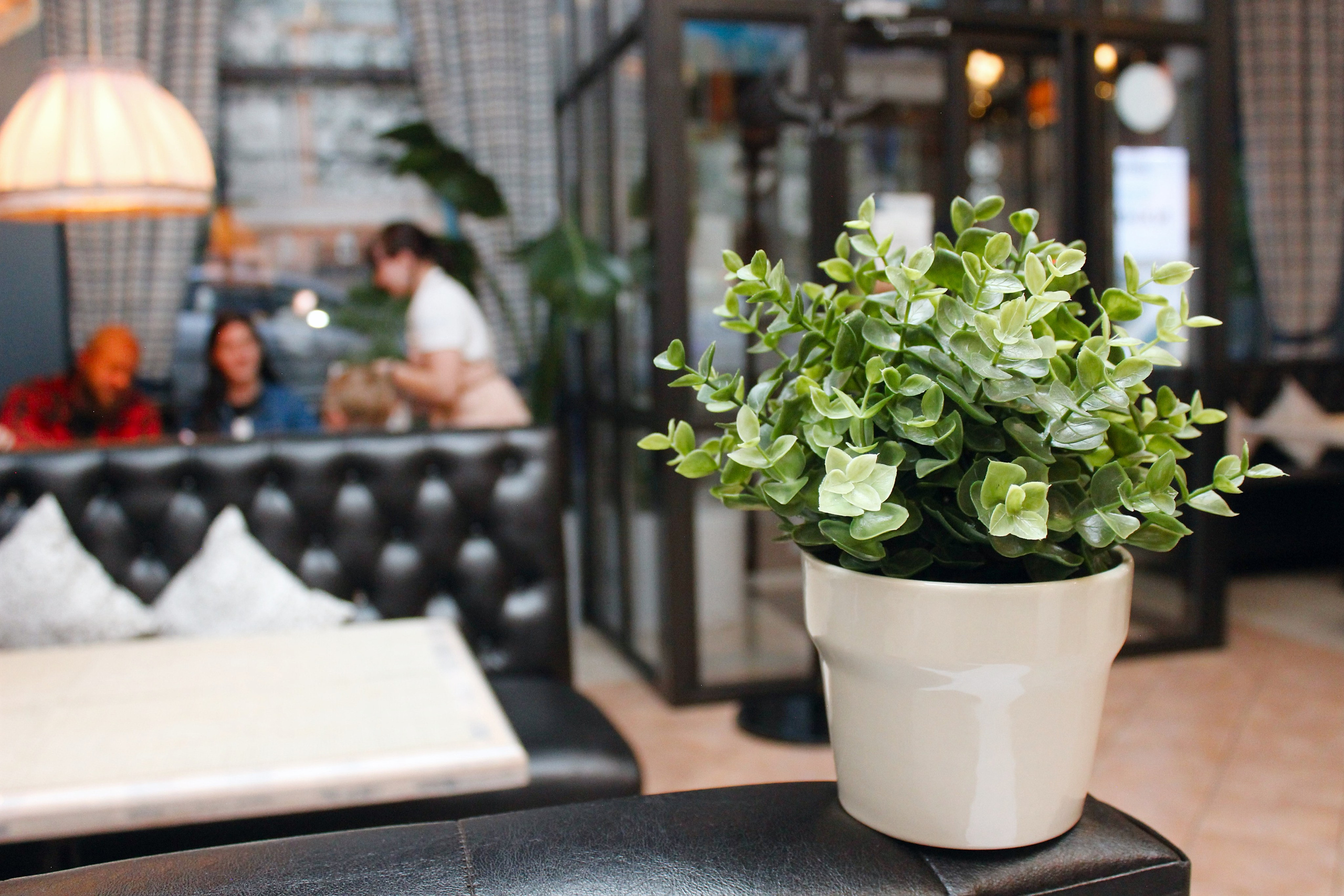 ПИЦЕРИЯ СИЦИЛИЯ. ВИДЕОГРАФ И ФОТОГРАФ В НОВОРОССИЙСКЕ / АНАПЕ / ГЕЛЕНДЖИКЕ