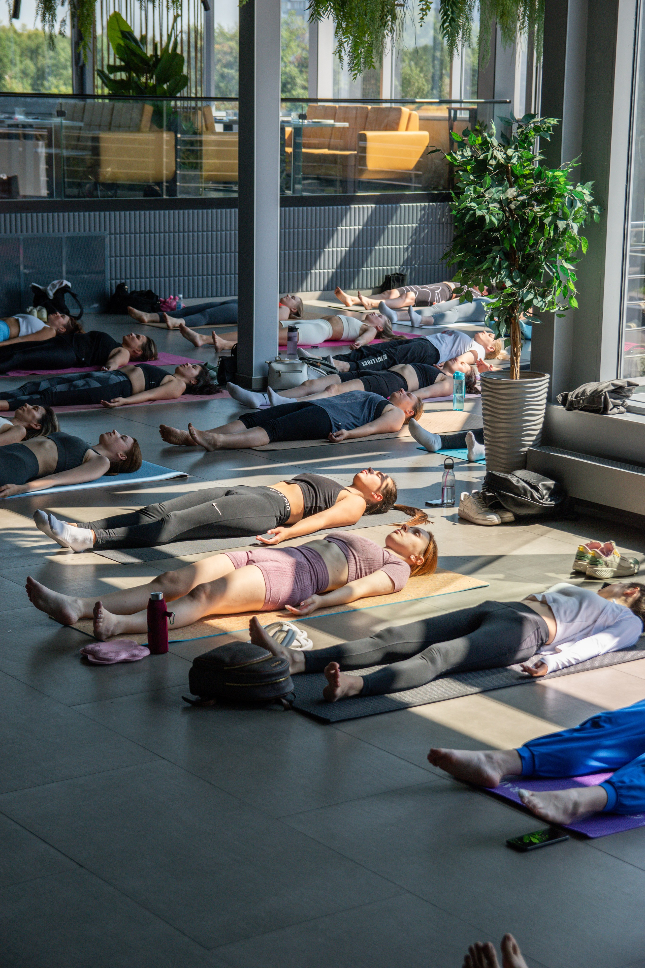 Йога-завтрак. Фотограф Лобанов Антон, г. Москва