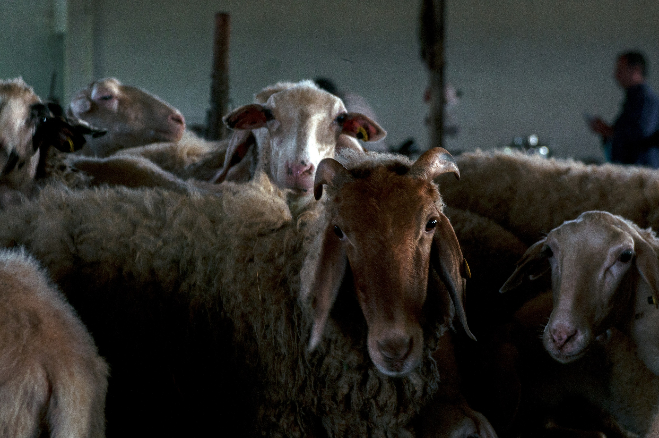 Греция. Албания. Фотограф в Москве, в Самаре Инна Мамонова
