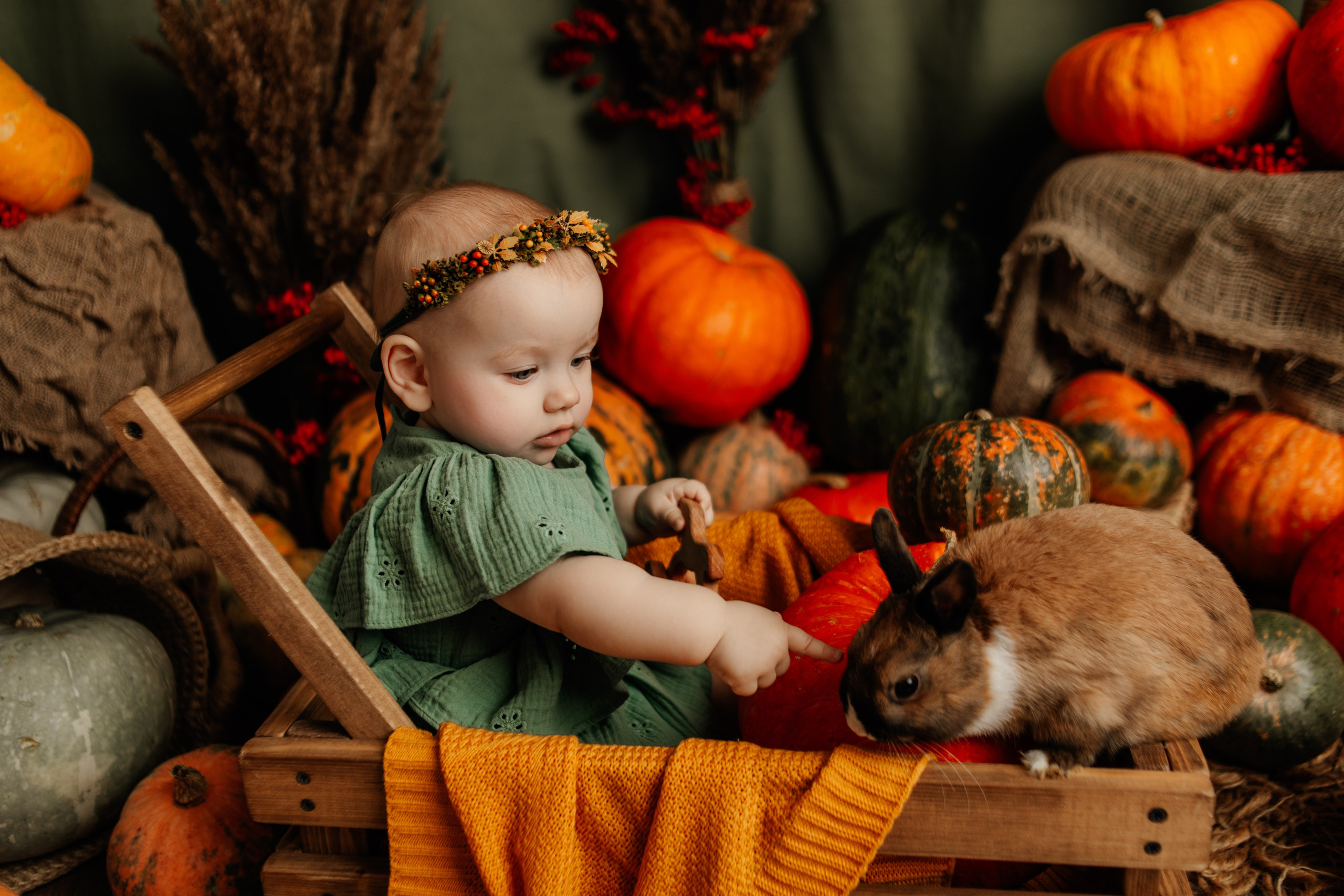 Фотопроекты. Фотограф новорождённых семейный фотограф Томск Елена Каплина