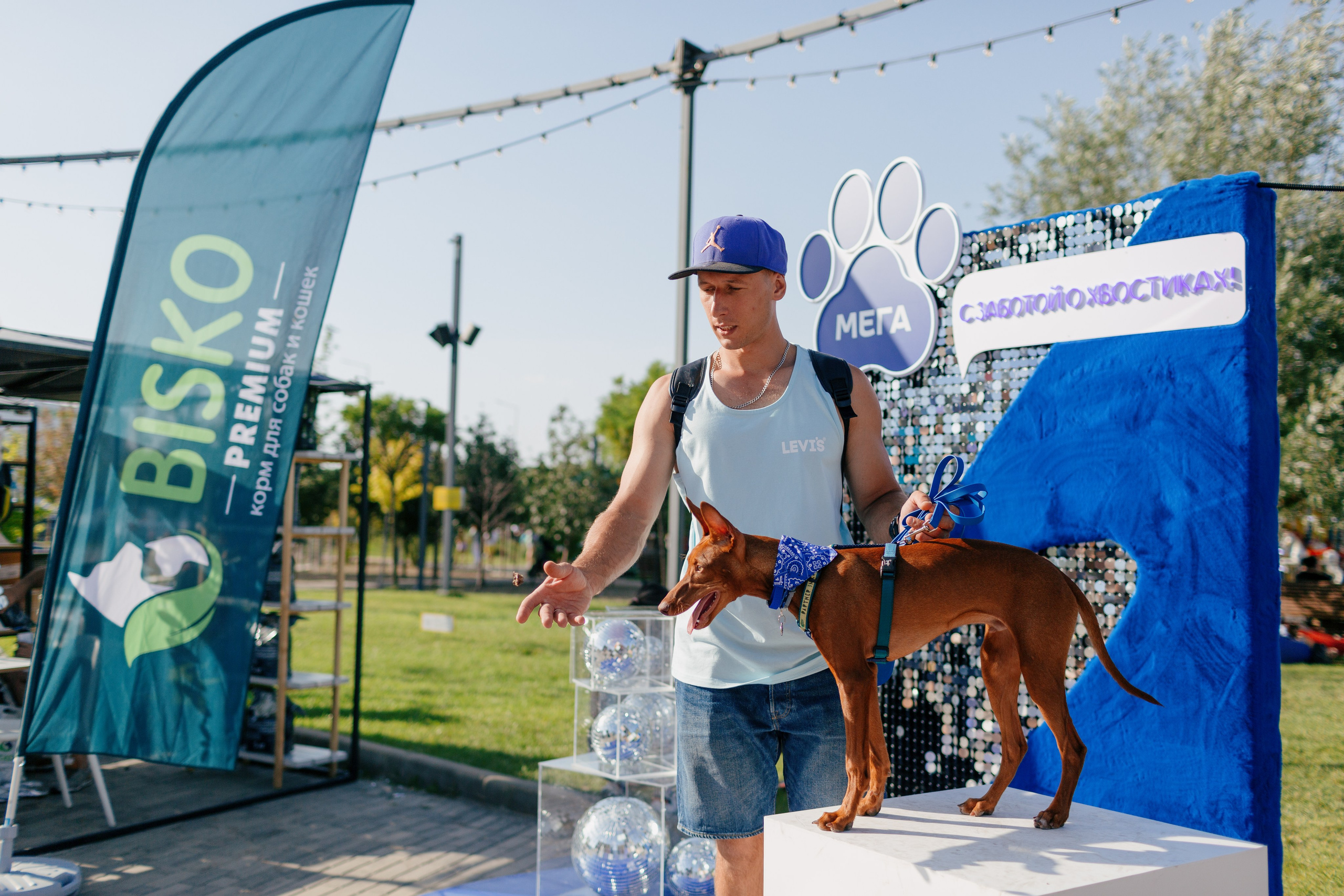 Dog Fest 2024. Главная