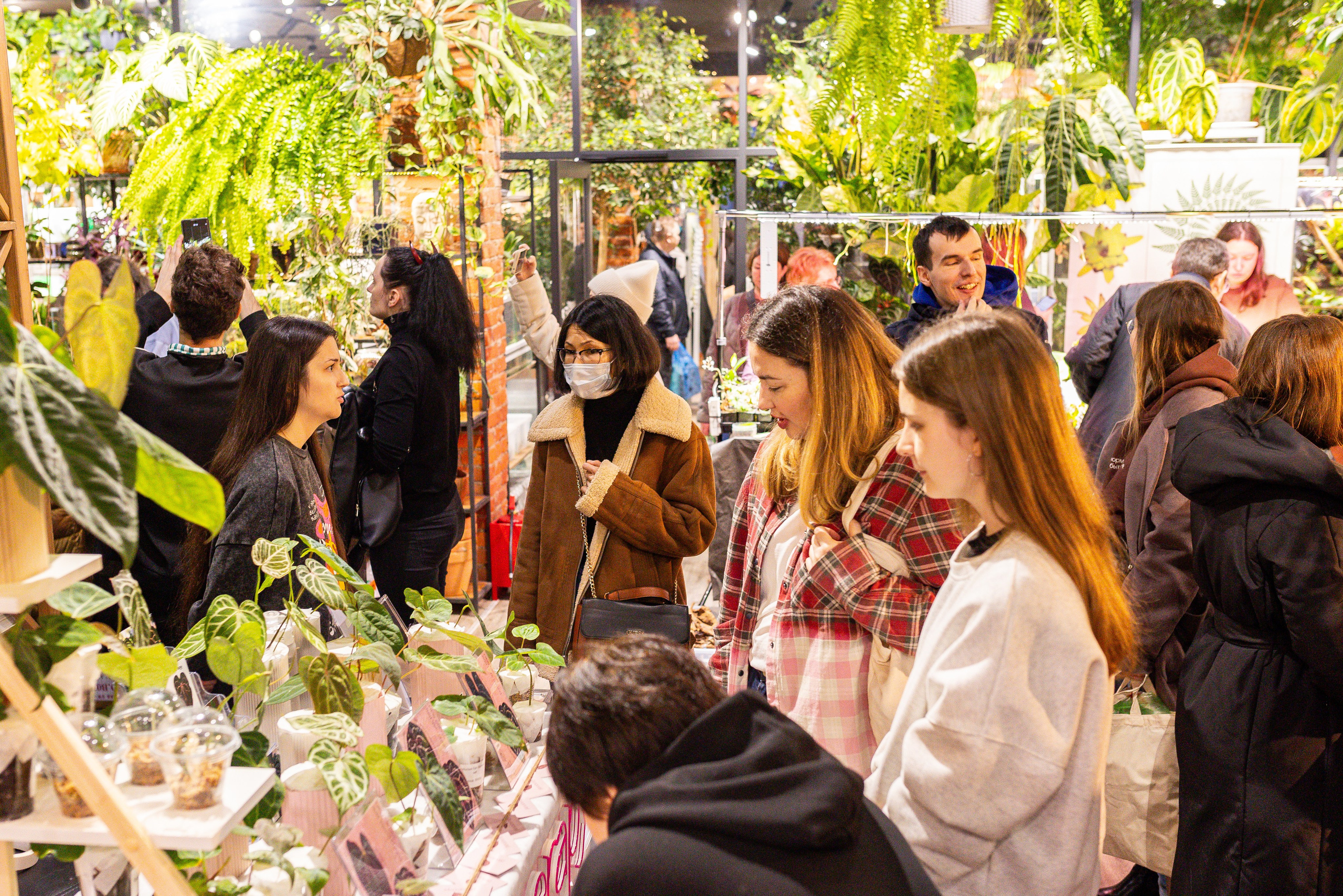Green_Rare Ярмарка февраль 2025. Александра Куликова фотограф, Москва