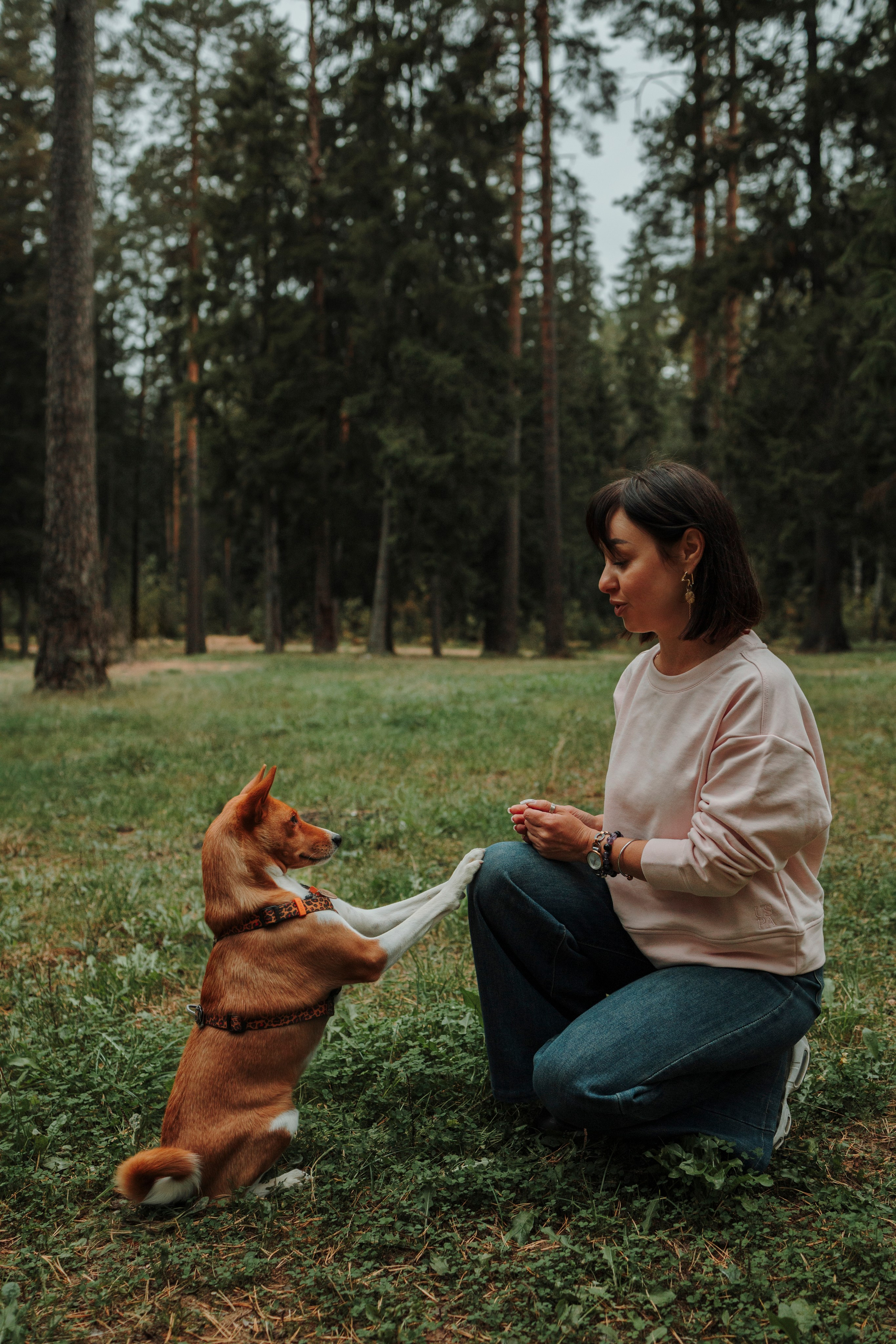 Даша и Лора. Фотограф-анималист в Санкт-Петеребурге Титова Алиса