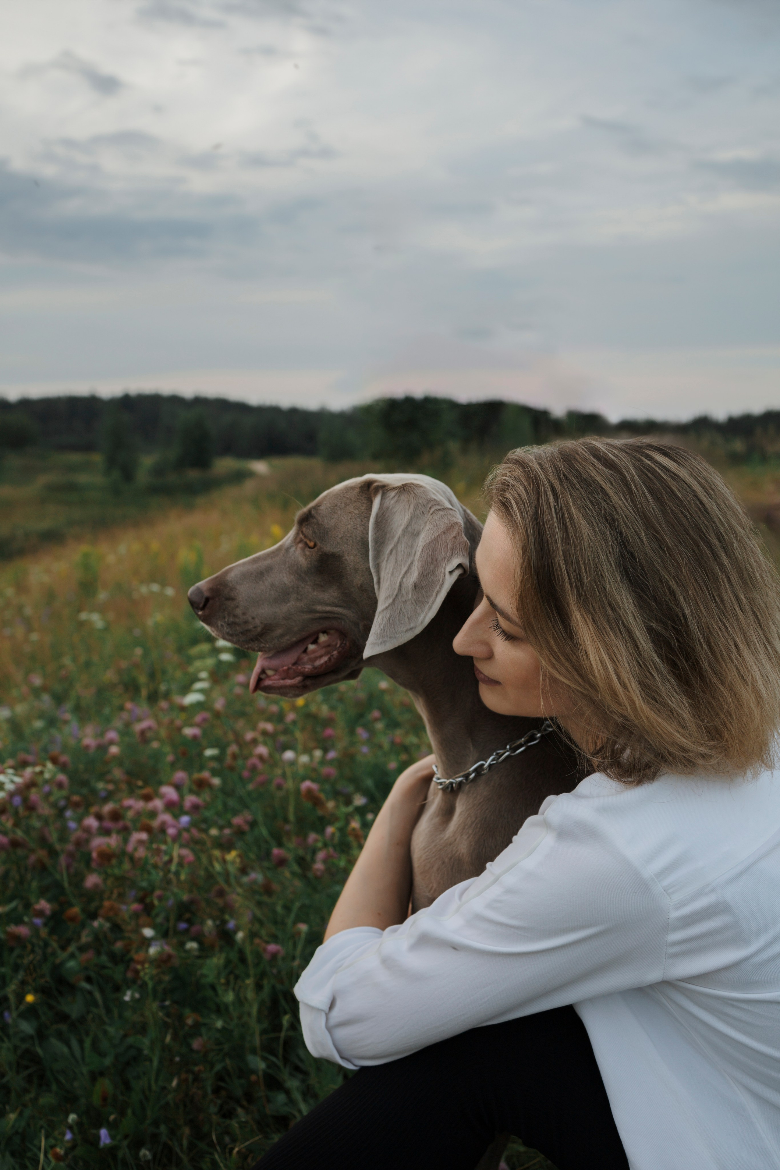 Маргарита и веймаранеры. Фотограф-анималист в Санкт-Петеребурге Титова Алиса