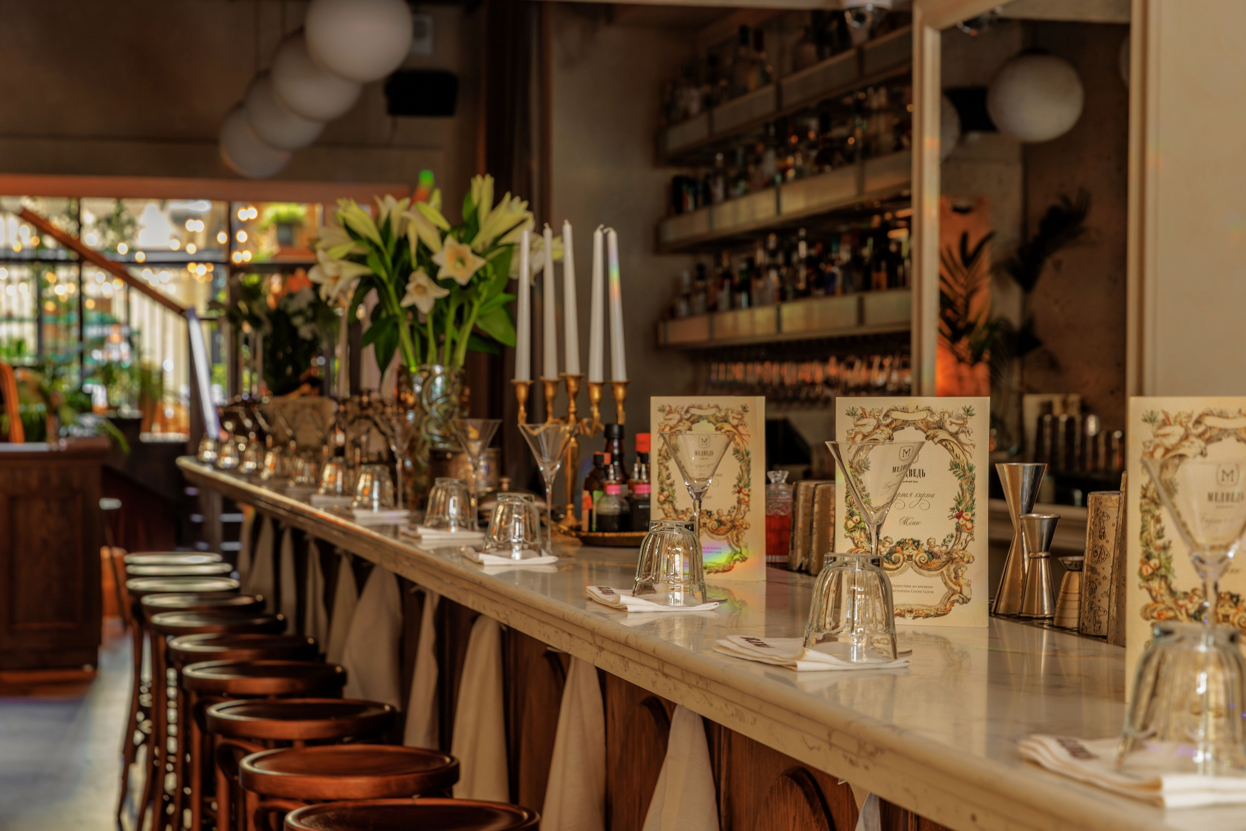 Медведь. Репортажный фотограф в Санкт-Петербурге Жолудев Владислав