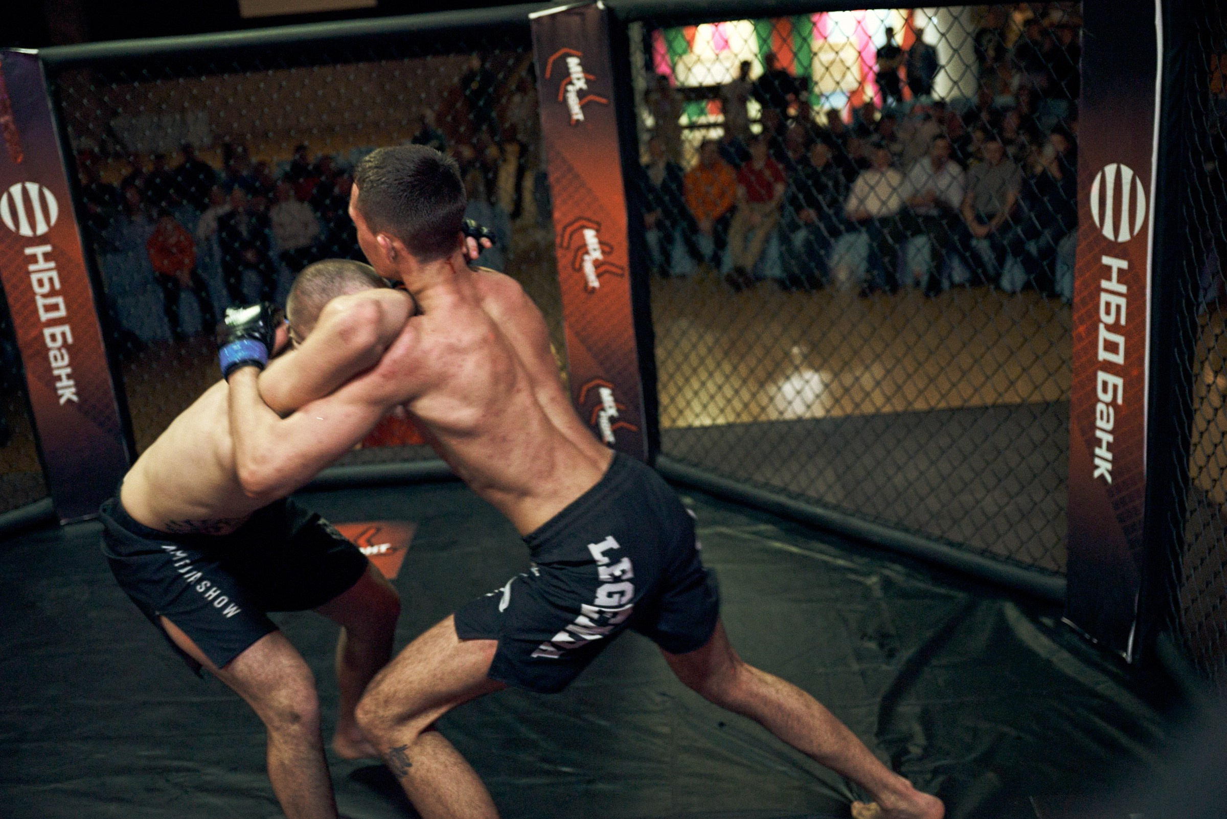 Бои. Маляревич Дмитрий свадебный фотограф