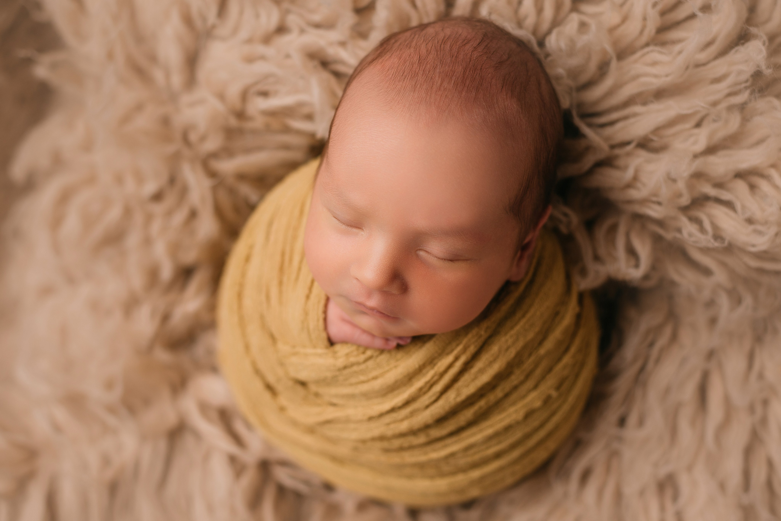 Лев. Фотограф новорожденных Белгород