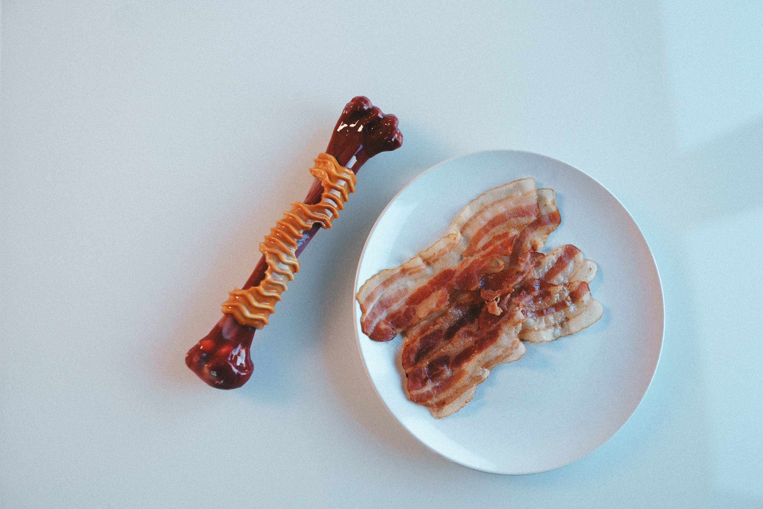 M-Pets. Фотограф анималист Осипчикова Мария