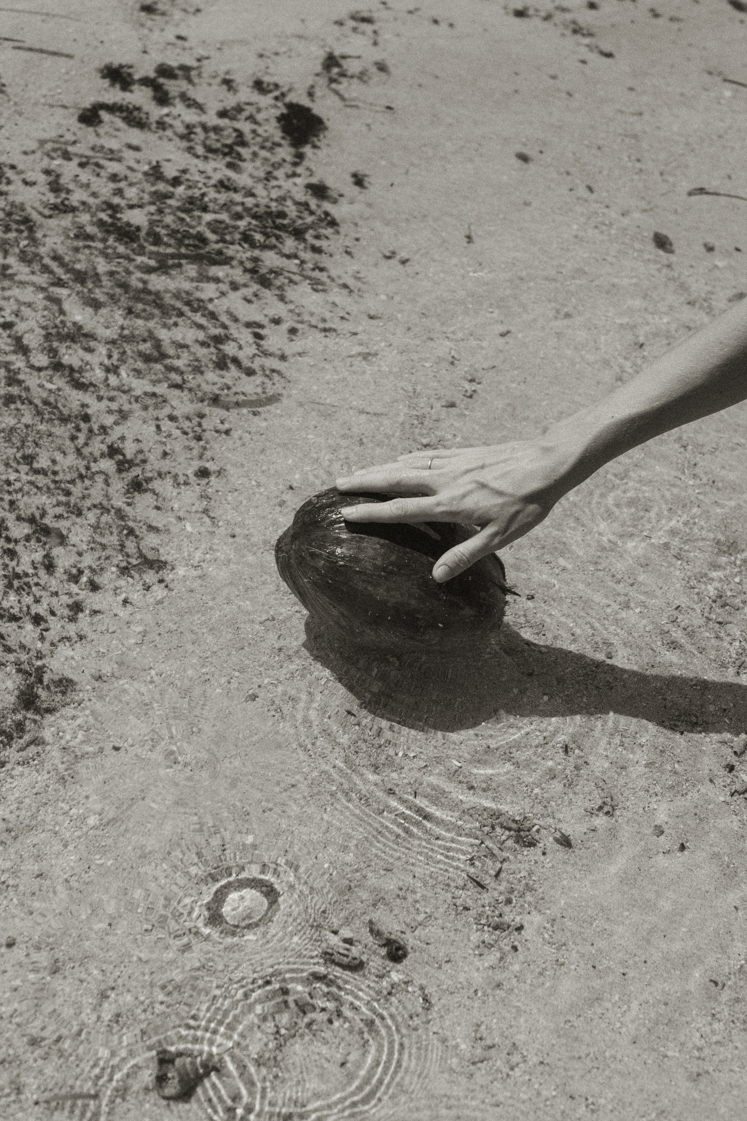 Calme. Фотограф