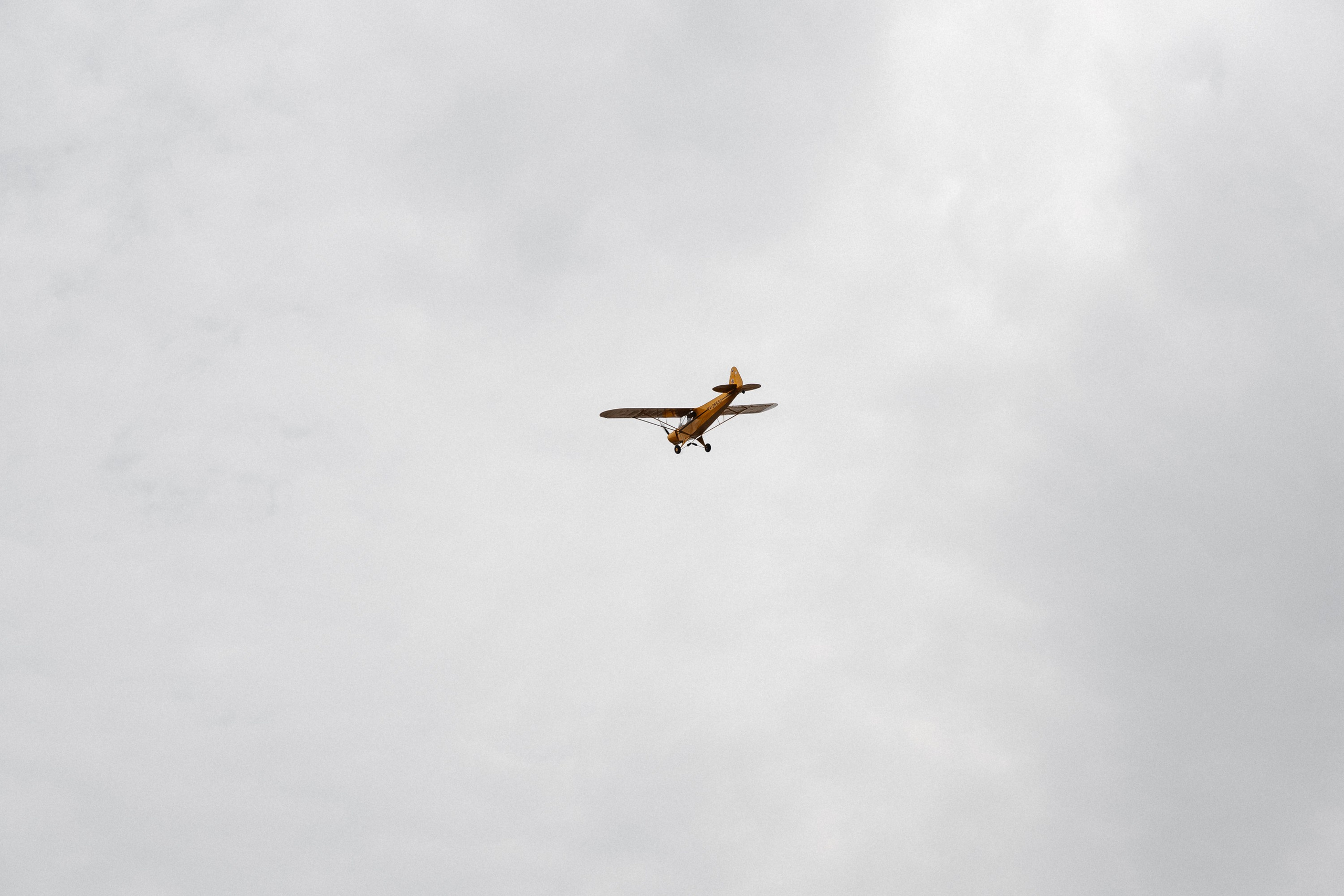Атмосфера. Свадебный фотограф Дмитрий Воробьев Ярославль