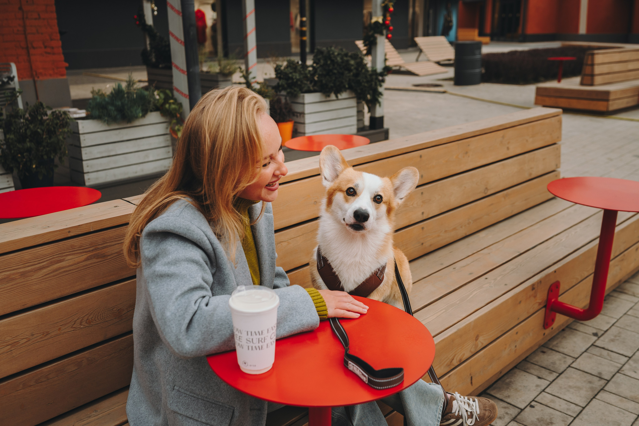 Pawsitive. Семейный фотограф анималист Ананьева Мария — Москва