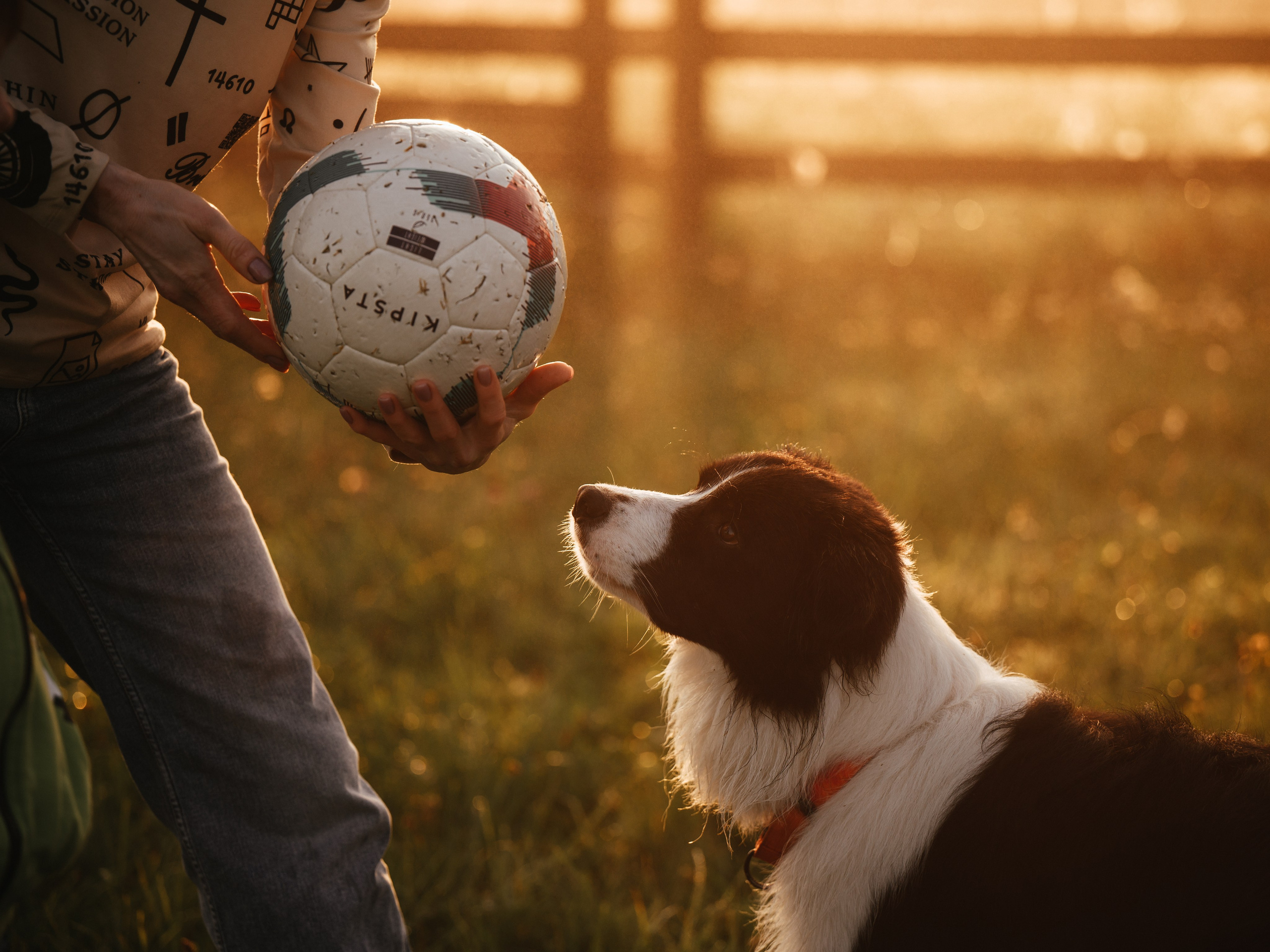 Семейная прогулка. Семейный фотограф анималист Ананьева Мария — Москва