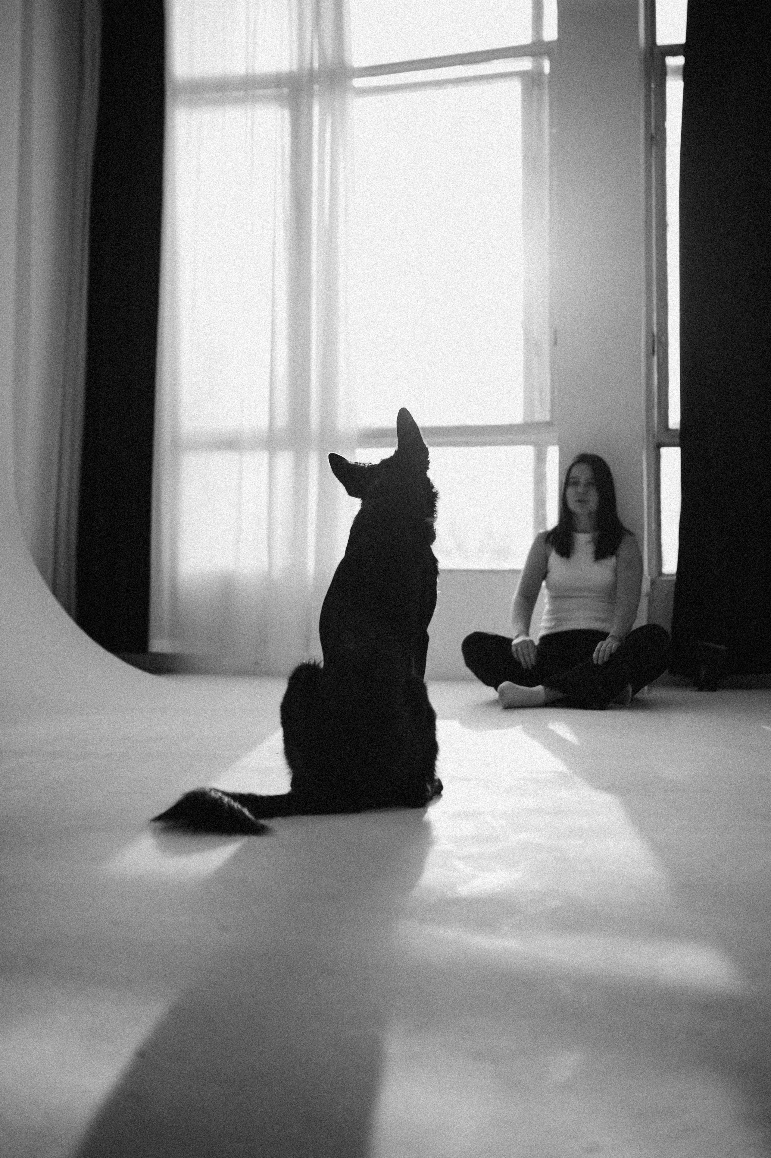 Аня и Соулу. Семейный фотограф анималист Ананьева Мария — Москва