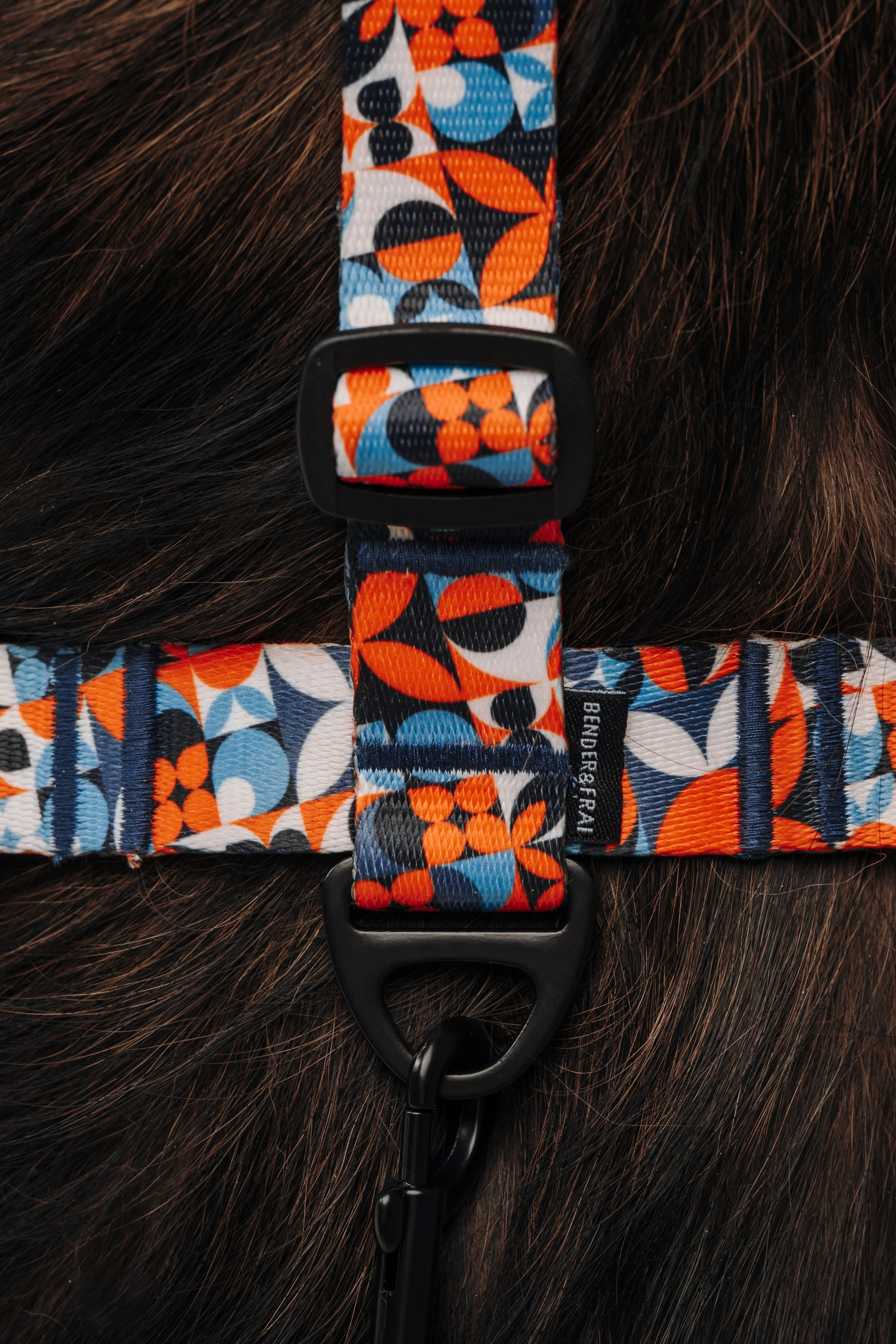 B&F. Амуниция. Семейный фотограф анималист Ананьева Мария — Москва