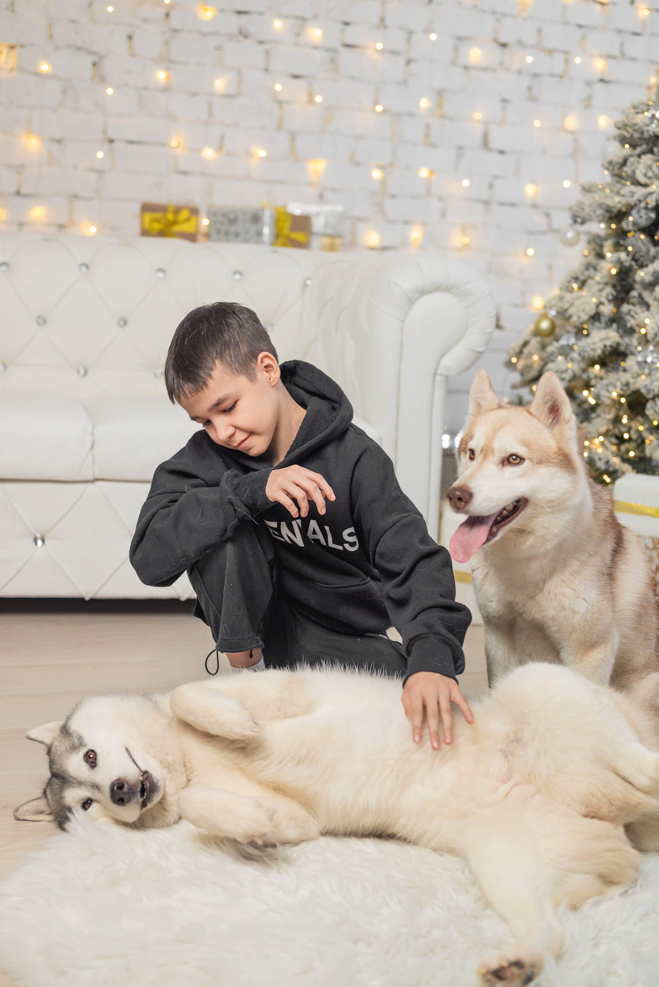 Фотопроект с хаски. Фотограф в городе Салават