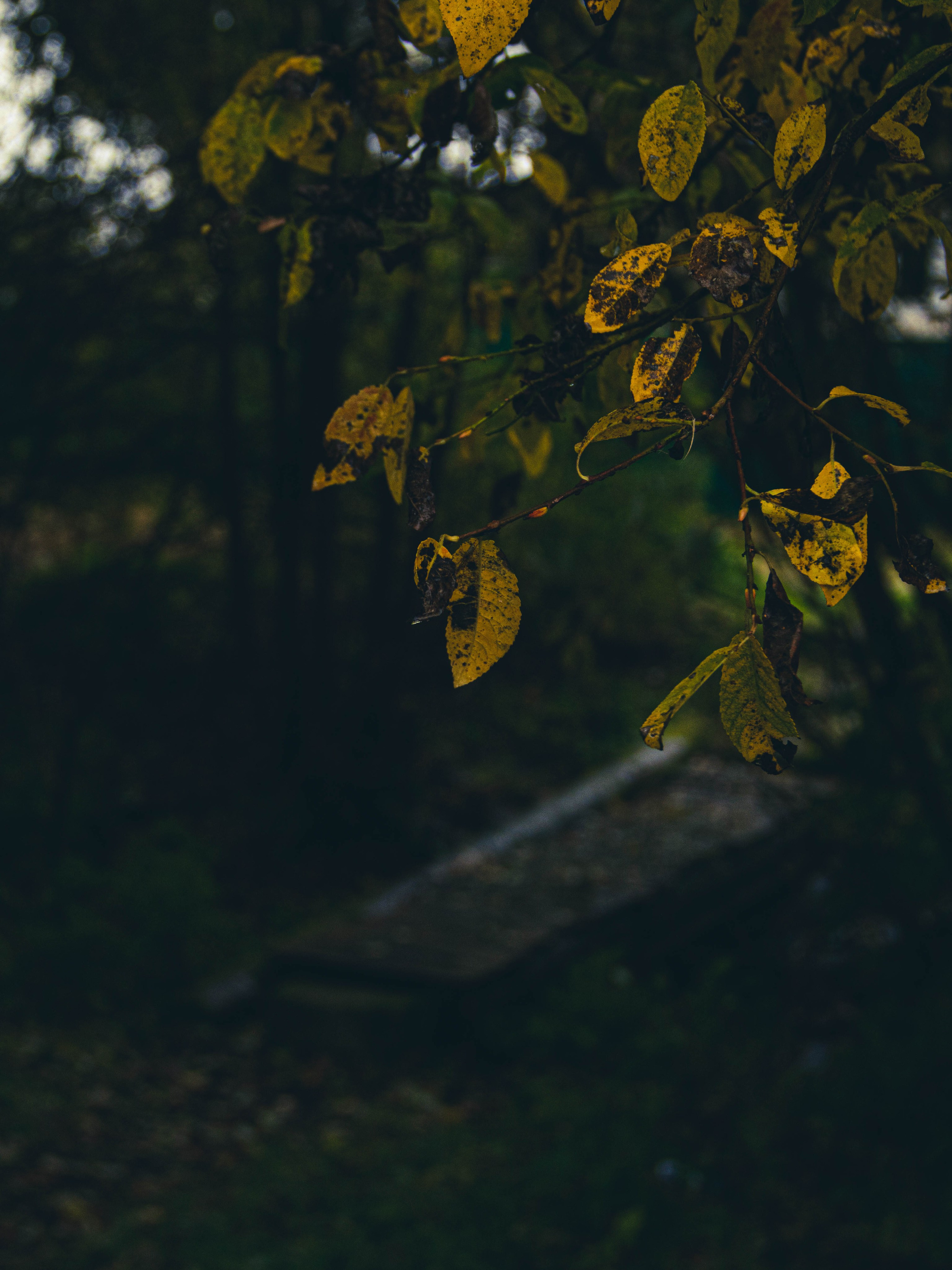 Село Петрилово (28.09.24). «Матрица»