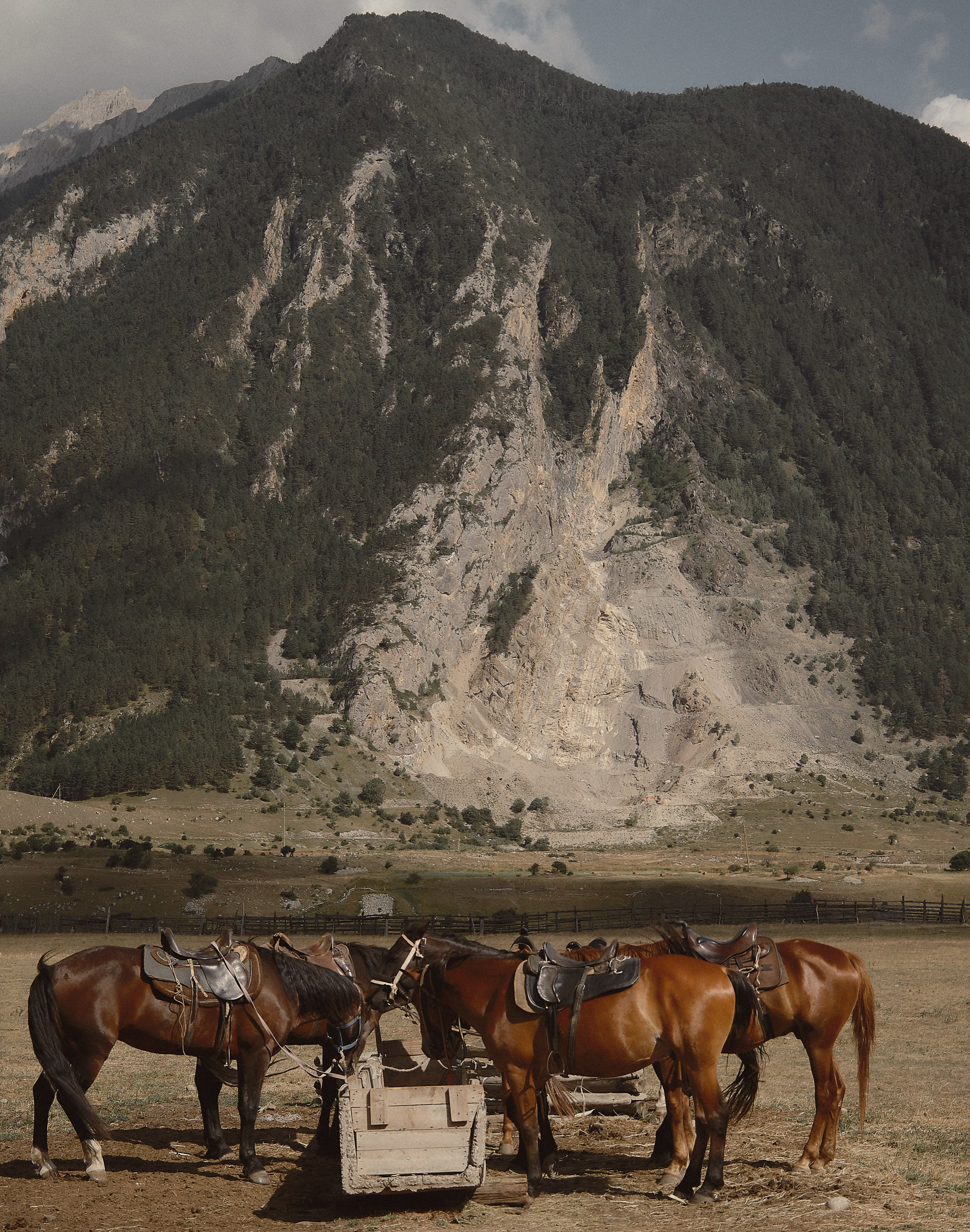 Даша и Игорь. Семейный и свадебный фотограф в Краснодаре