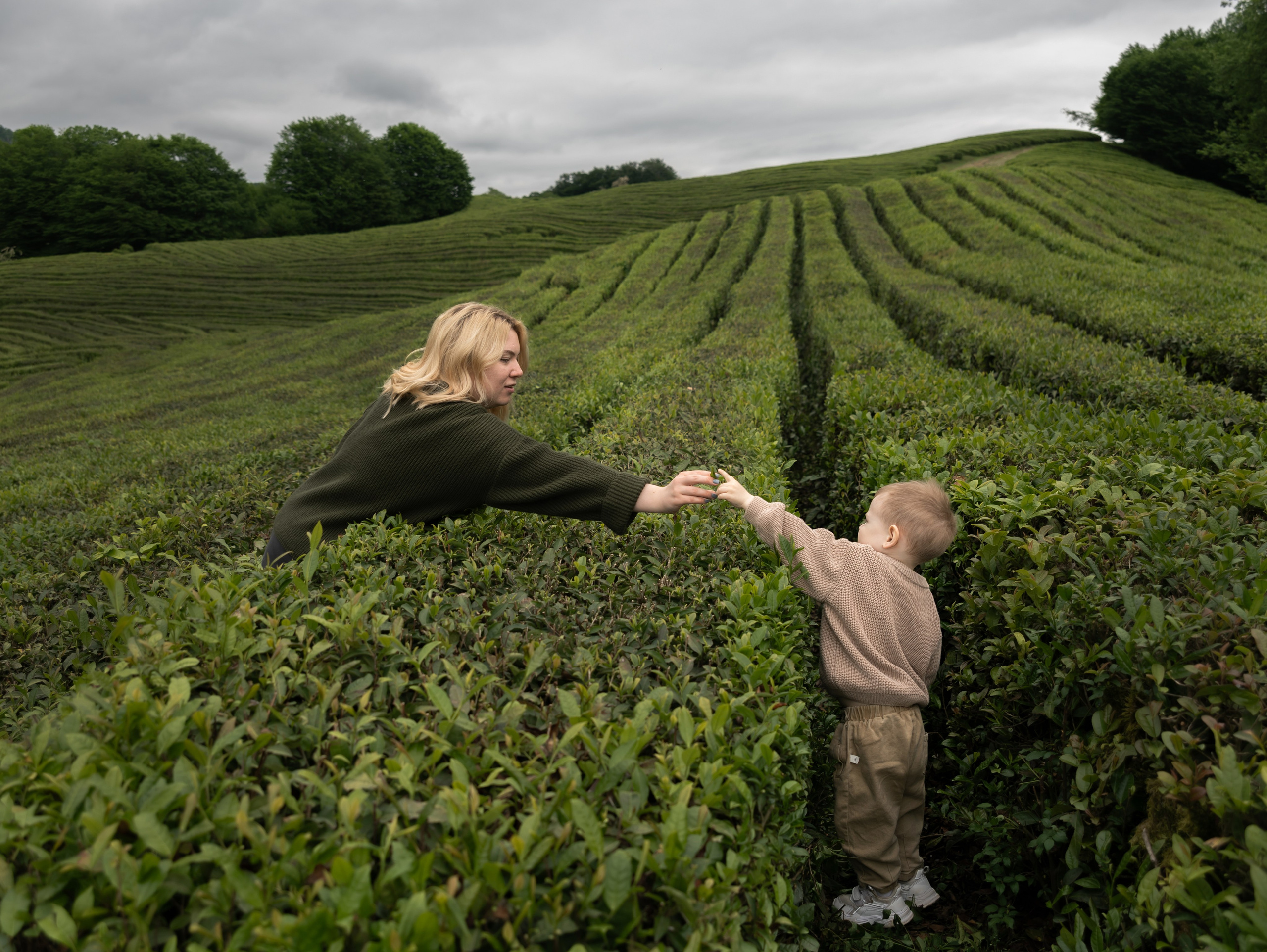 Семейные фотосессии. Фотограф Сочи