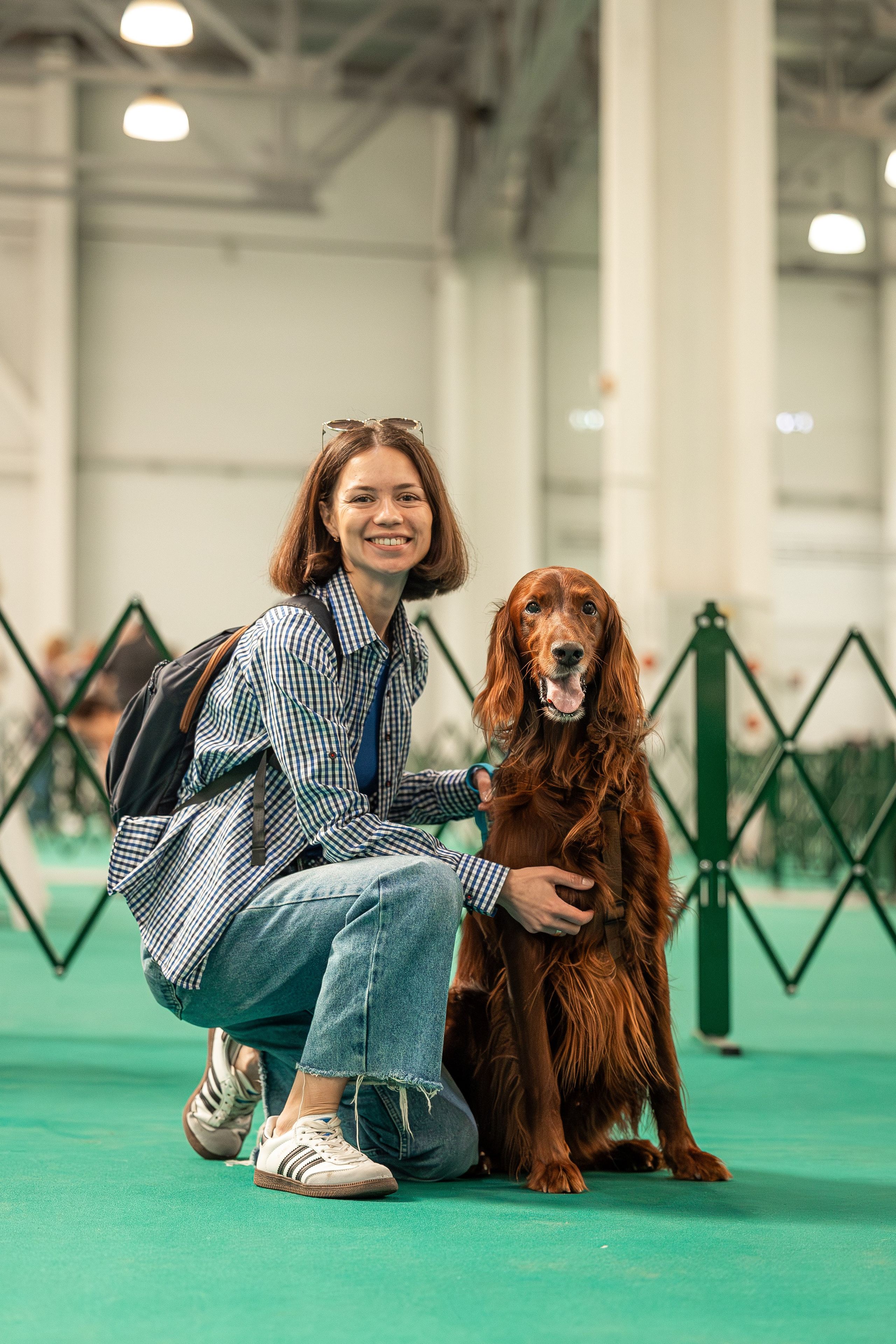 Выставка сеттеров 19.05.24