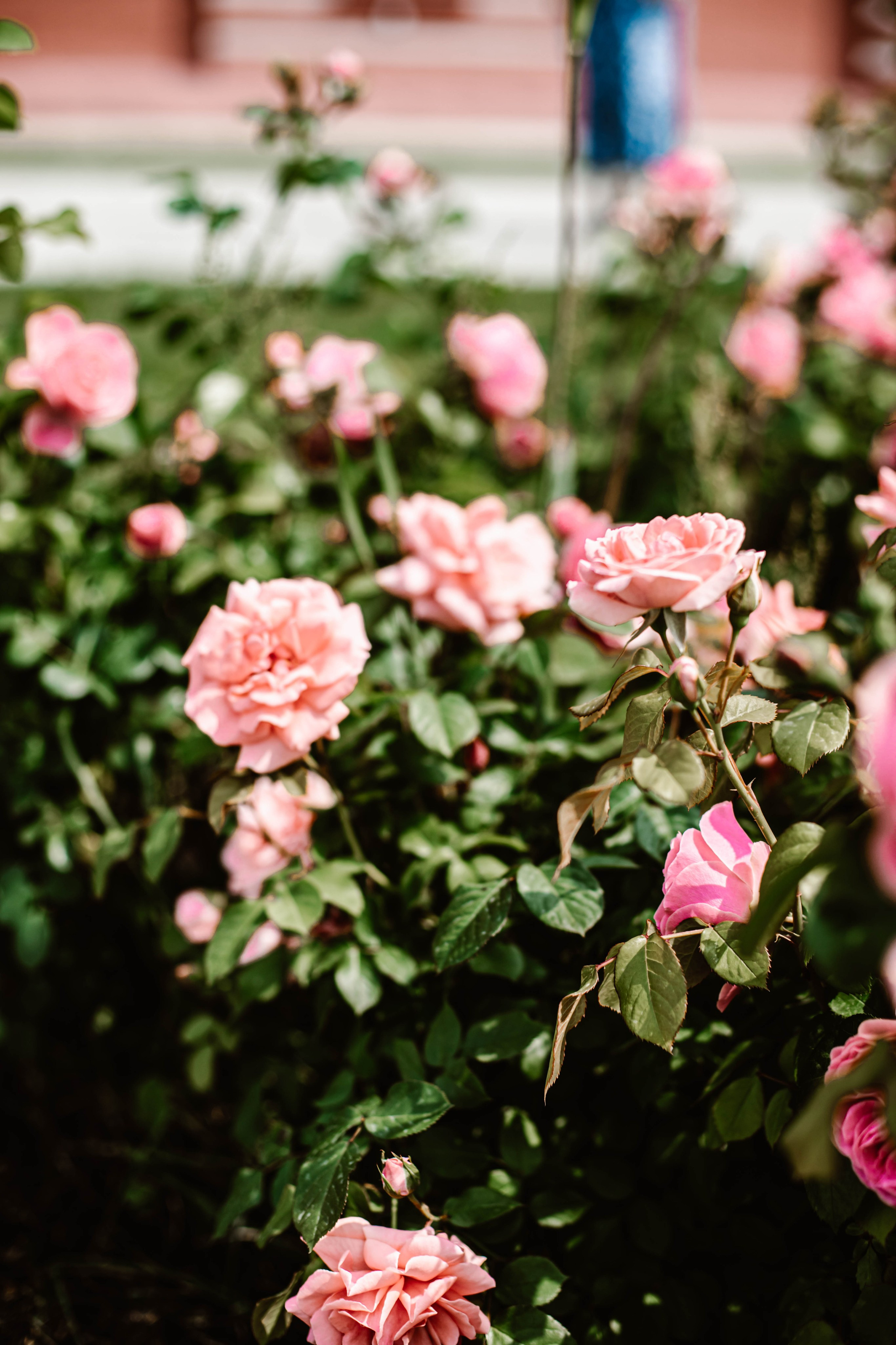 Настя прогулка НН. Фотограф в Нижнем Новгороде