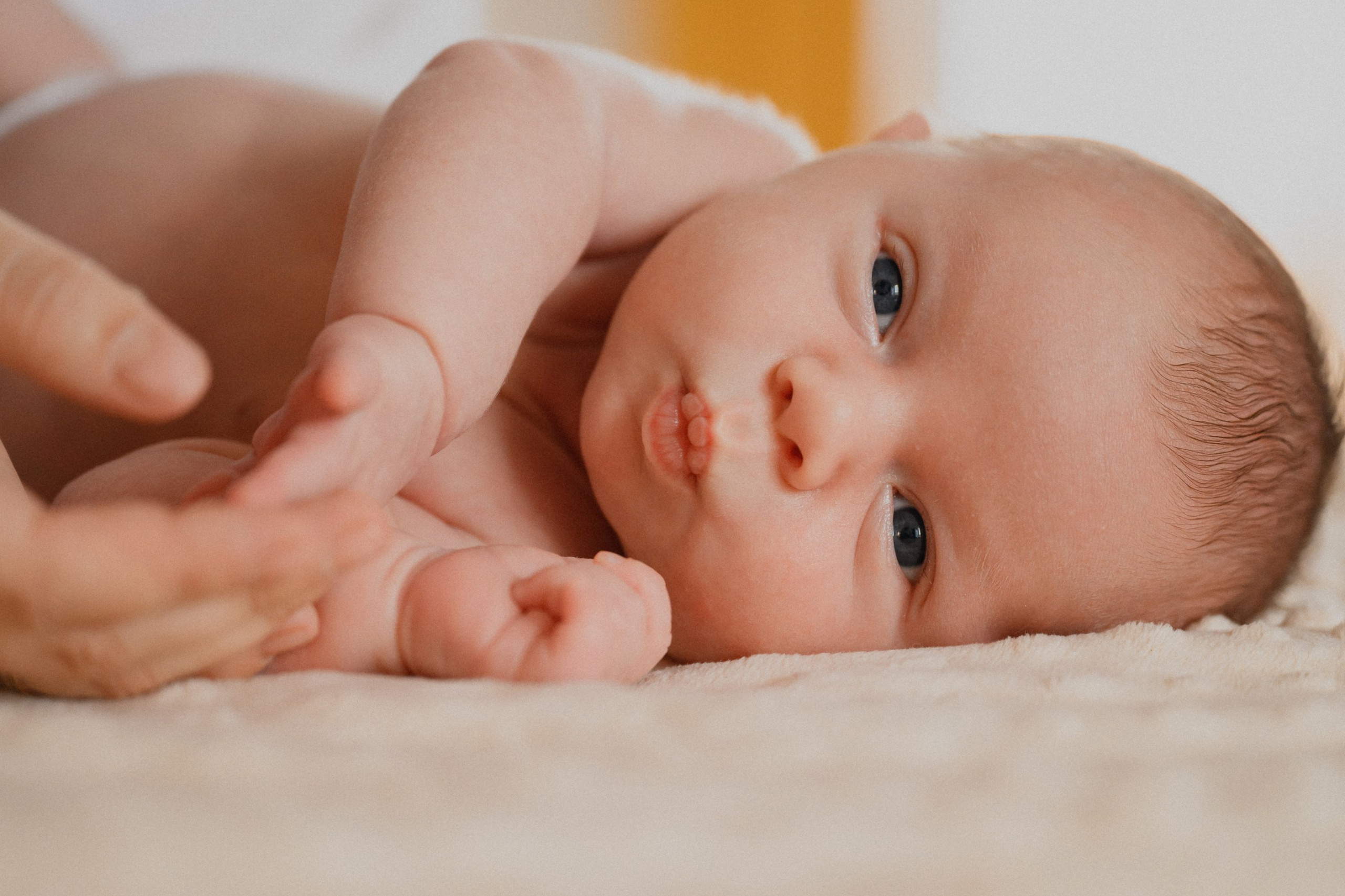 Семья Димы и Саши. 📸Портретный и репортажный фотограф | Красноярск | Поливода Дмитрий📸