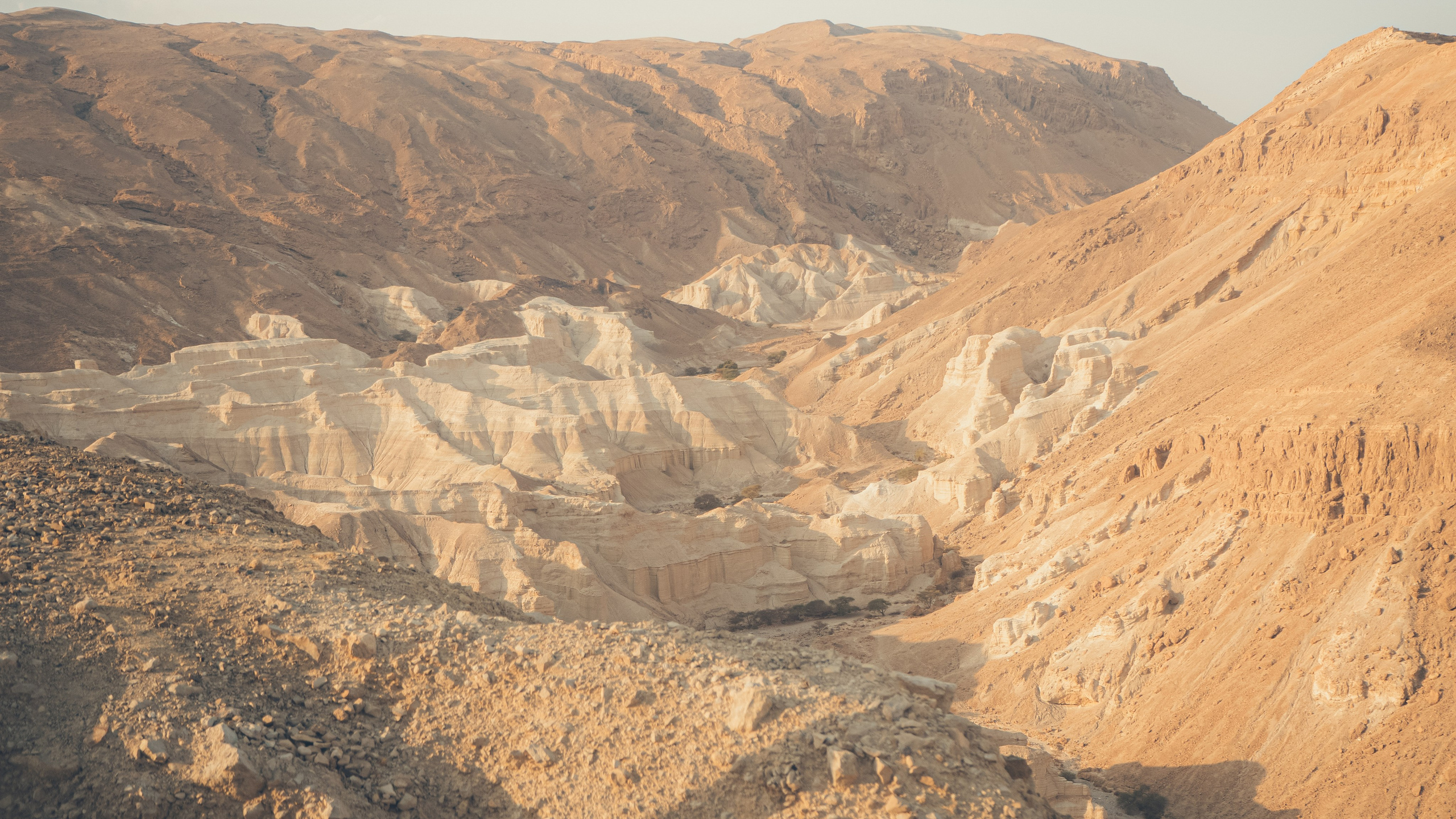 Израиль. Свадебный фотограф Копков Геннадий