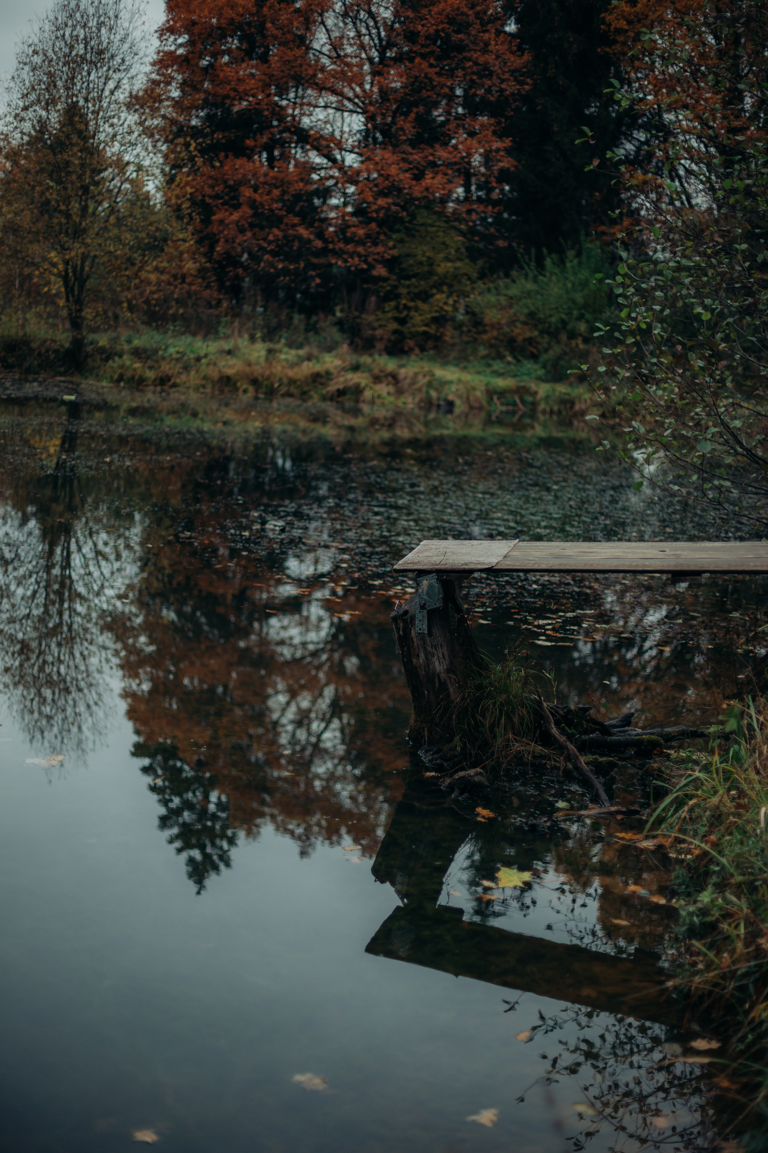 Александра. Главная