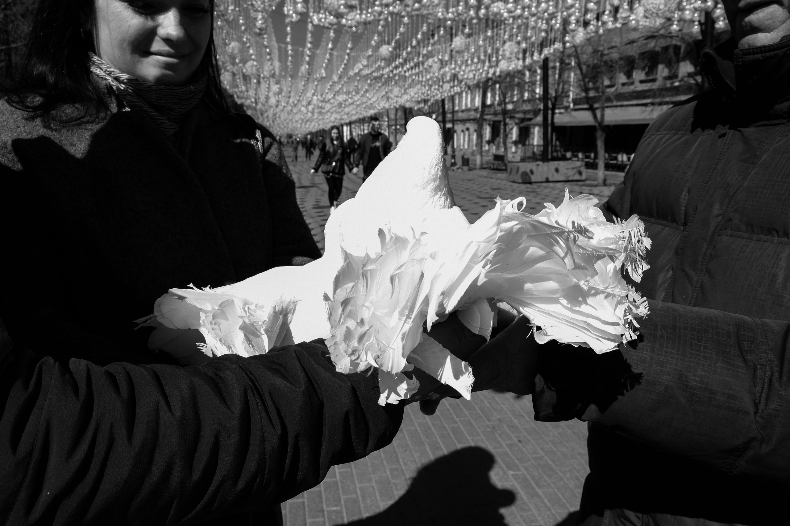 Два ноль два два. Alexey syrov / Visual artist