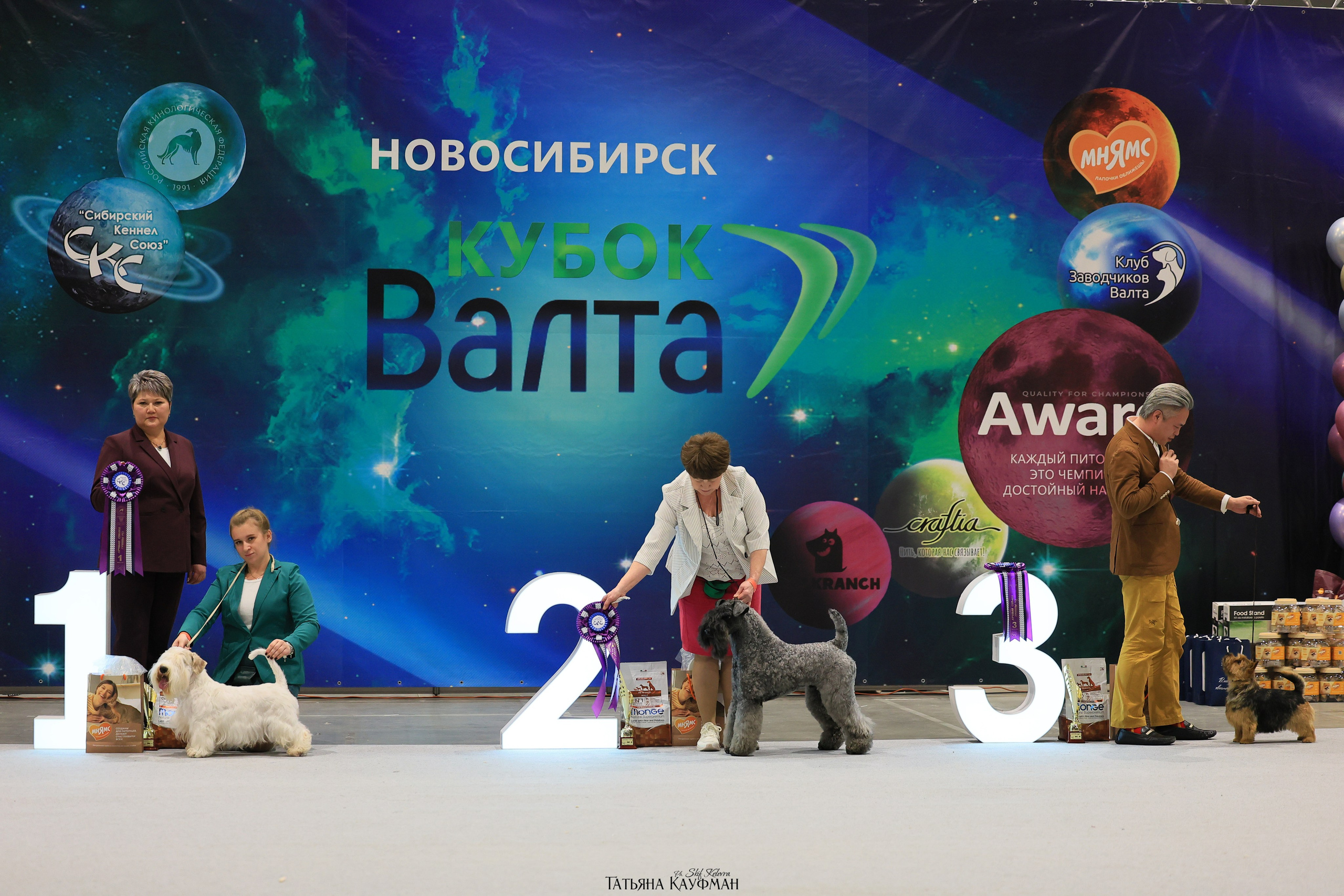 28-29.03.2026 Рейтинговая выставка в Новосибирске. Фотограф Анималист из Новосибирска Татьяна Кауфман