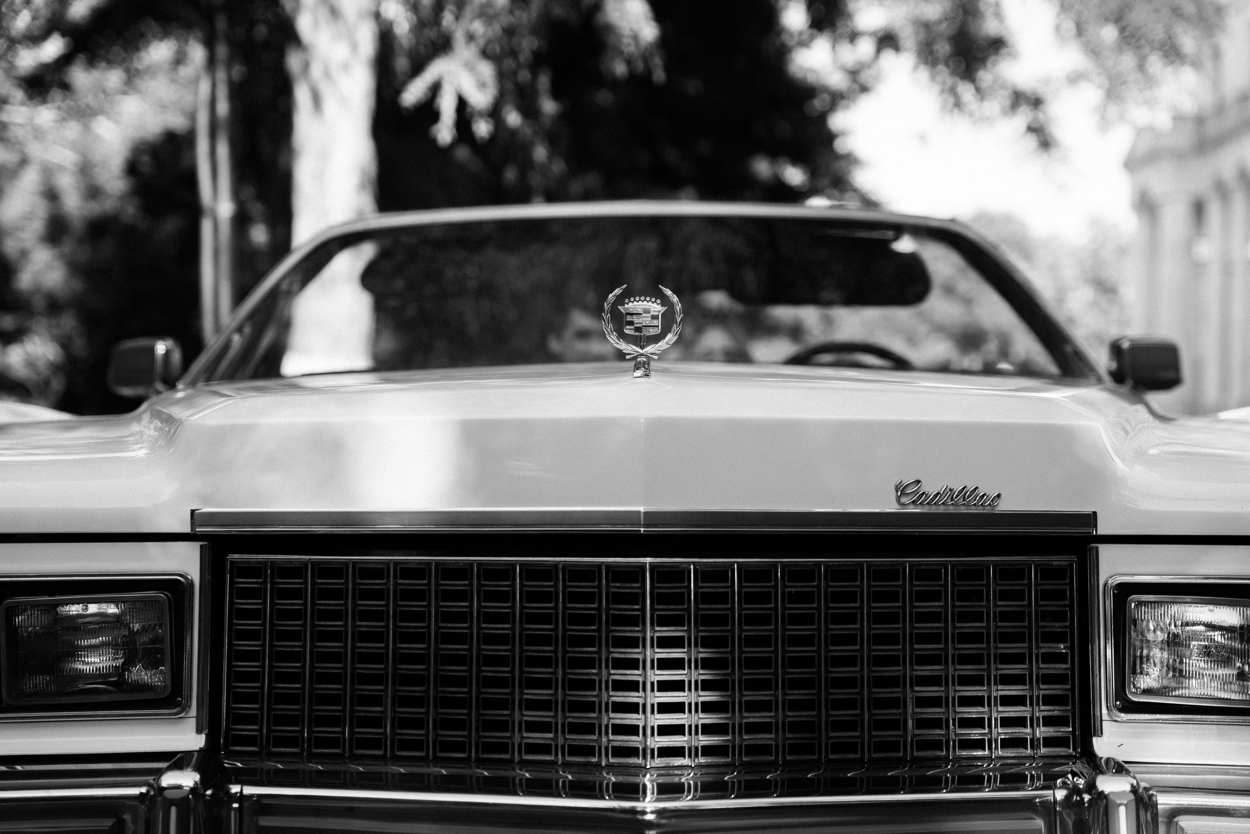 La-la land. Свадебный фотограф Решетников Дмитрий