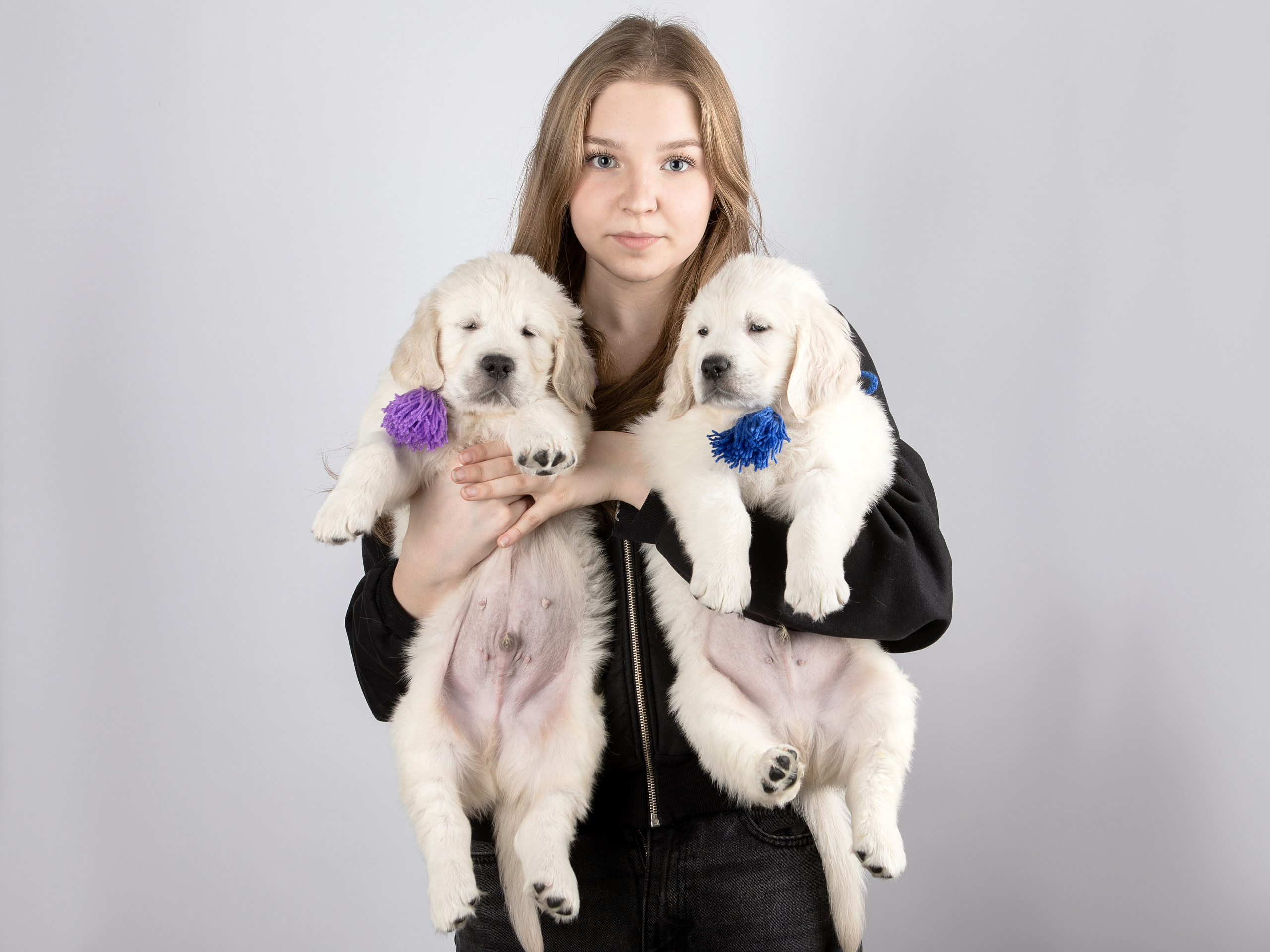 Голден Ретривер