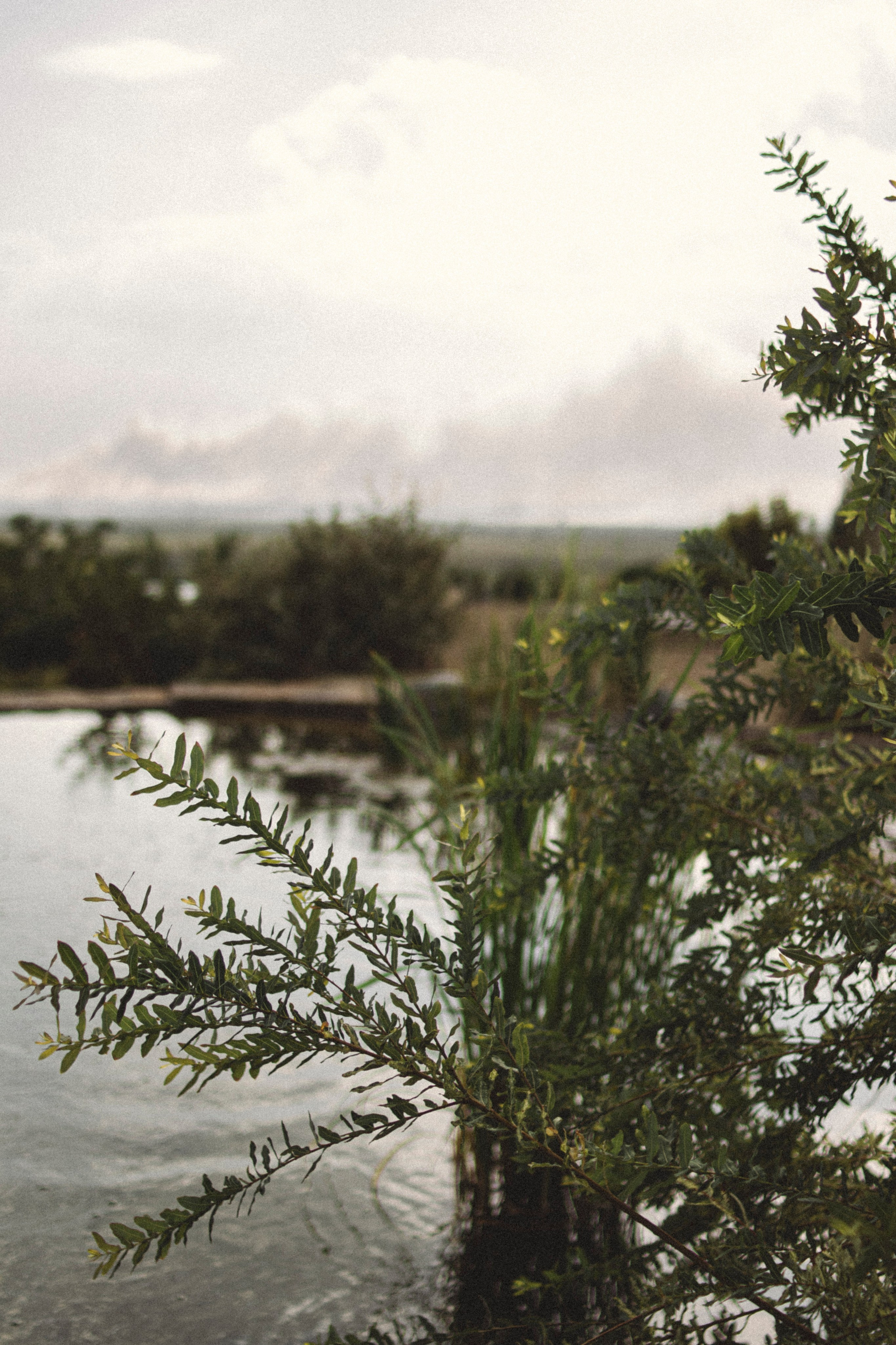 Уличная фотосессия винодельня. Я — фотограф, который помогает запечатлеть самые важные моменты вашей жизни!