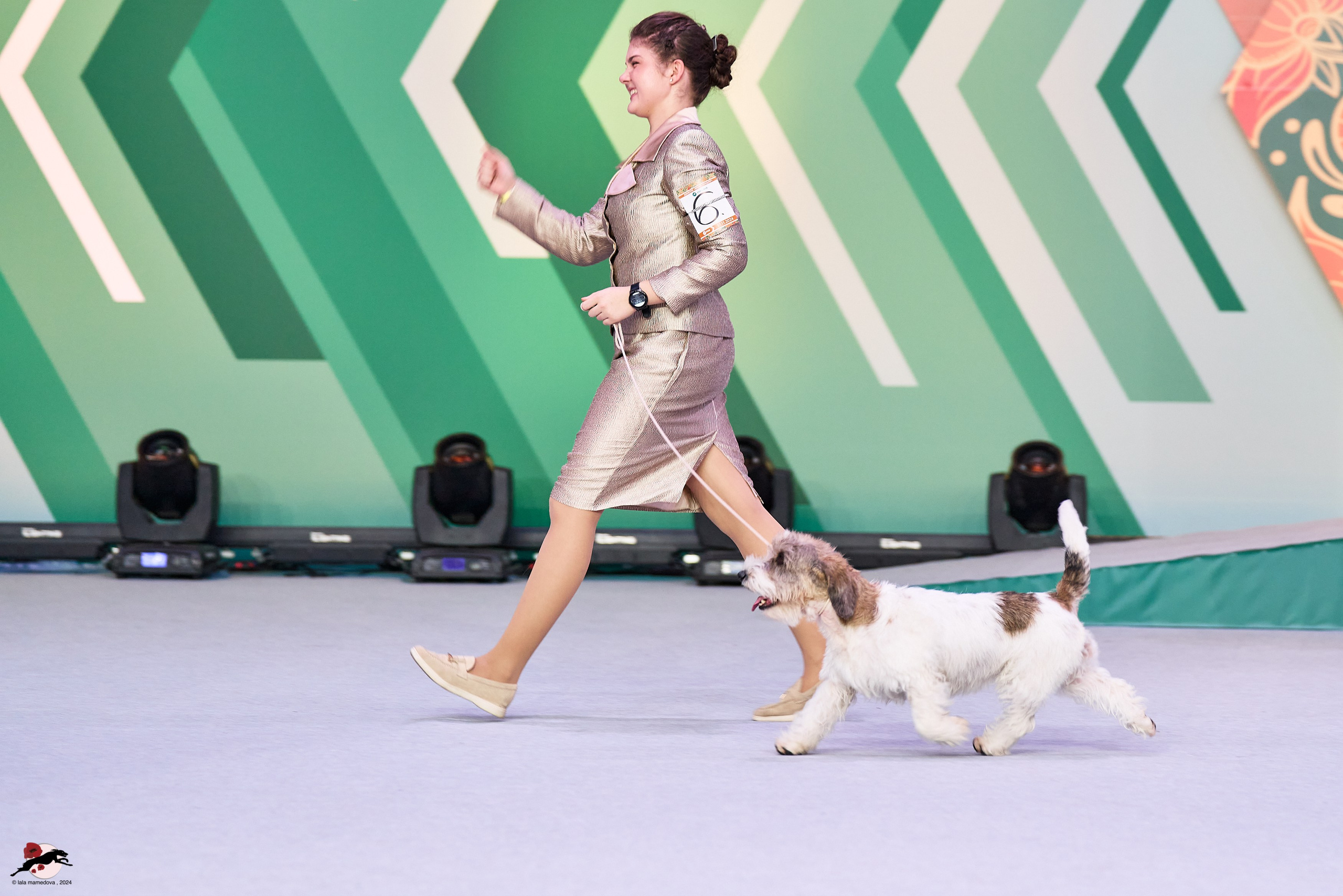 17.11.2024 «ЕВРАЗИЯ. КУБОК СНГ 2024»