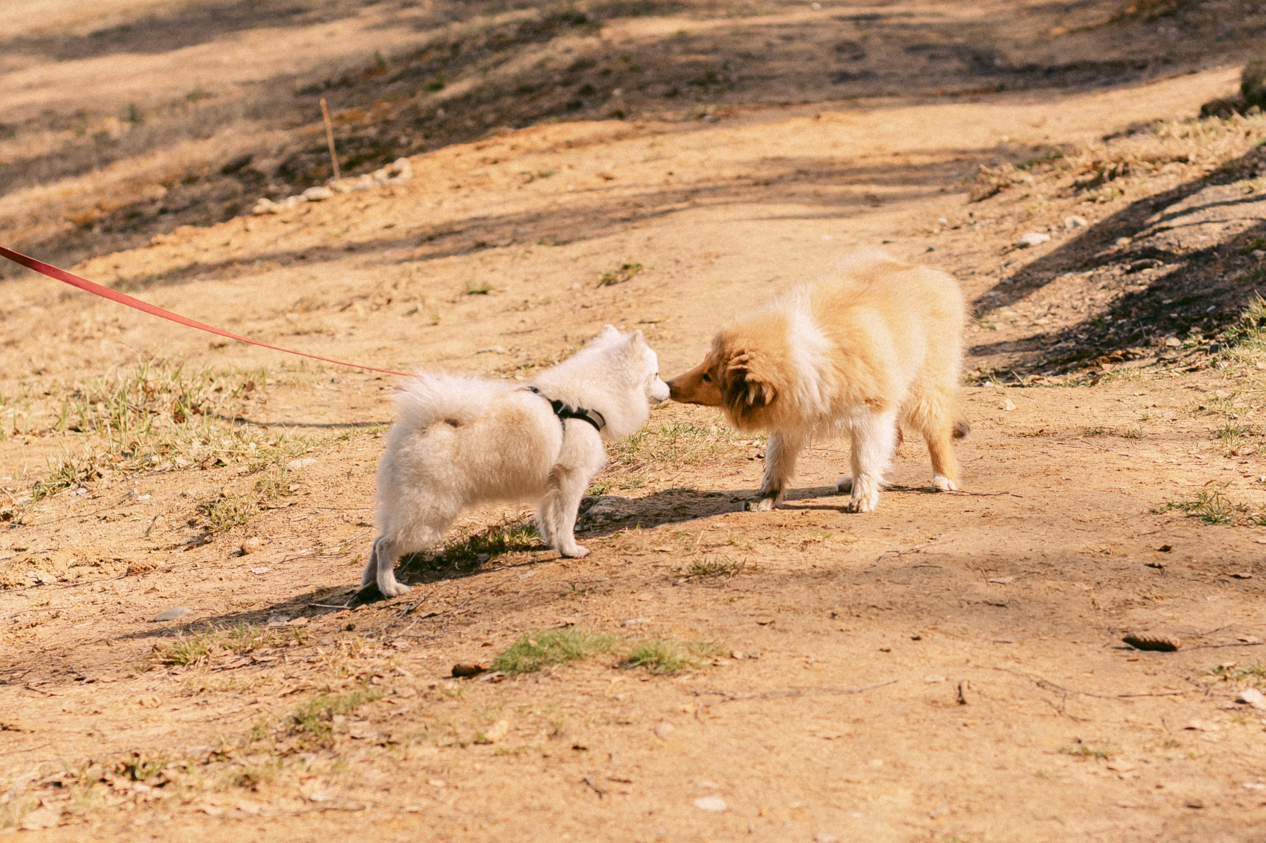 Корпоративы 🍸🍢. Фотограф в Санкт-Петербурге и ЛО — Сергей Козлов