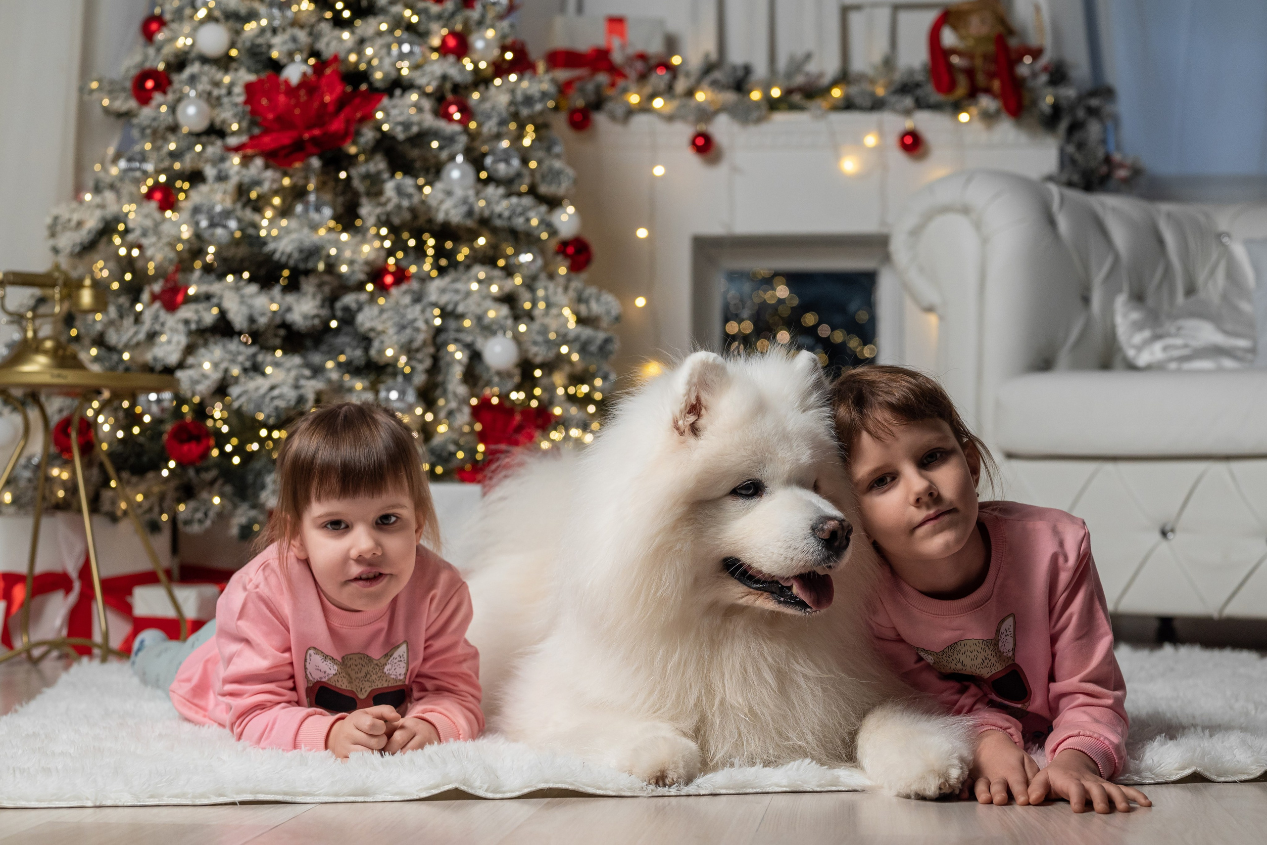 Фотопроект с Платоном 2024 г. Фотограф в городе Салават